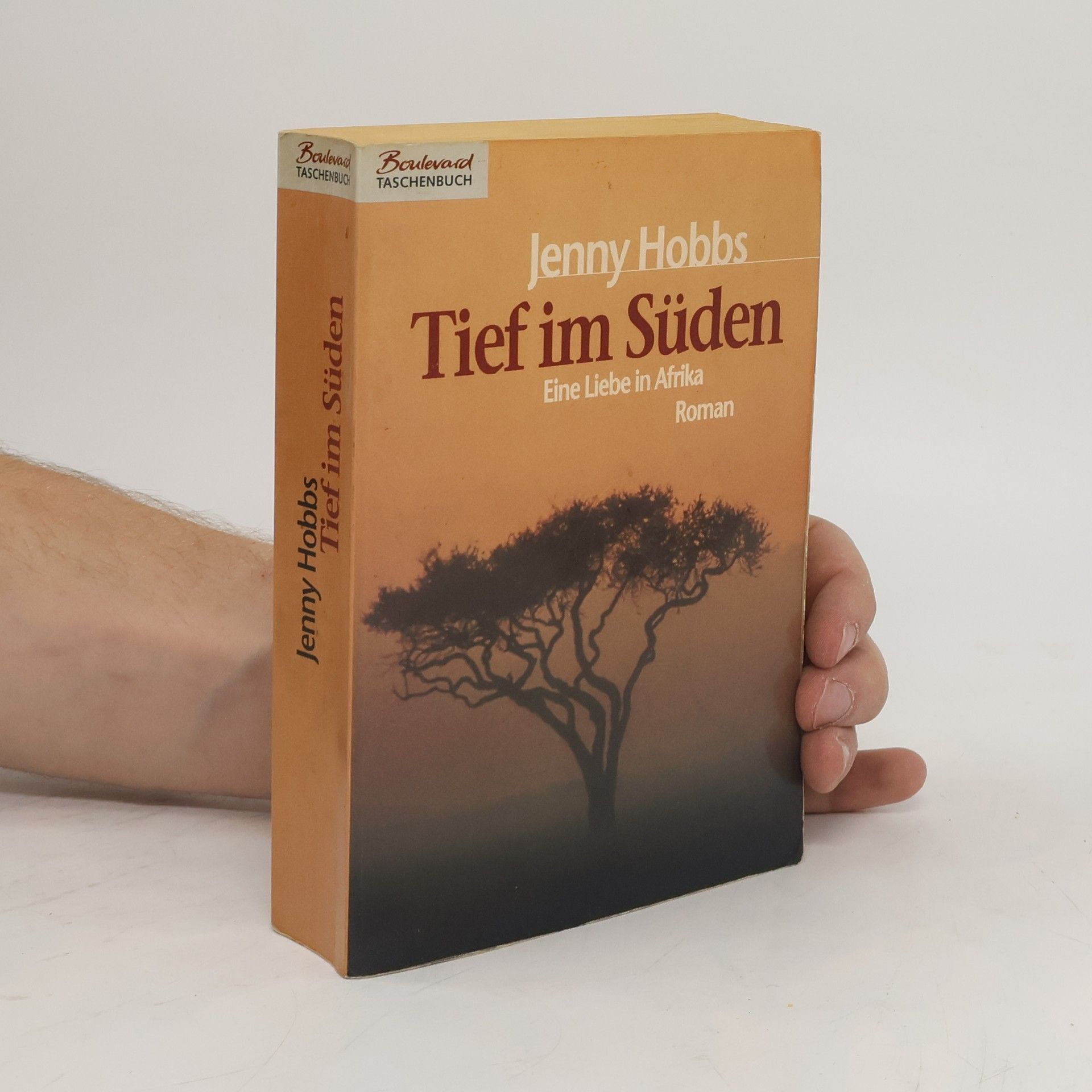 Jenny Hobbs Tief im Süden
