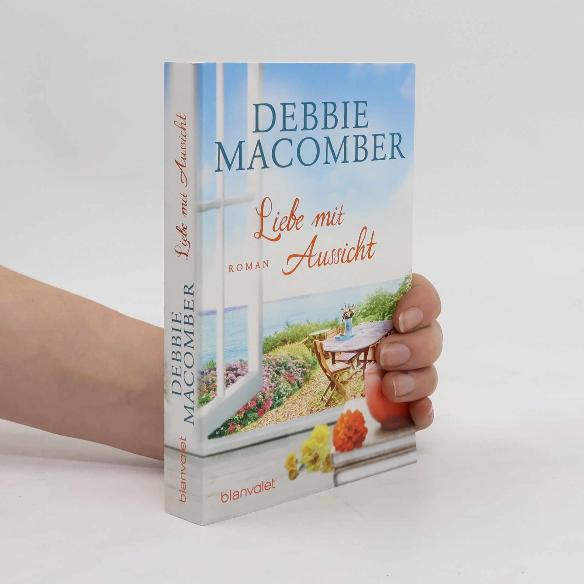 Debbie MacComber Liebe mit Aussicht