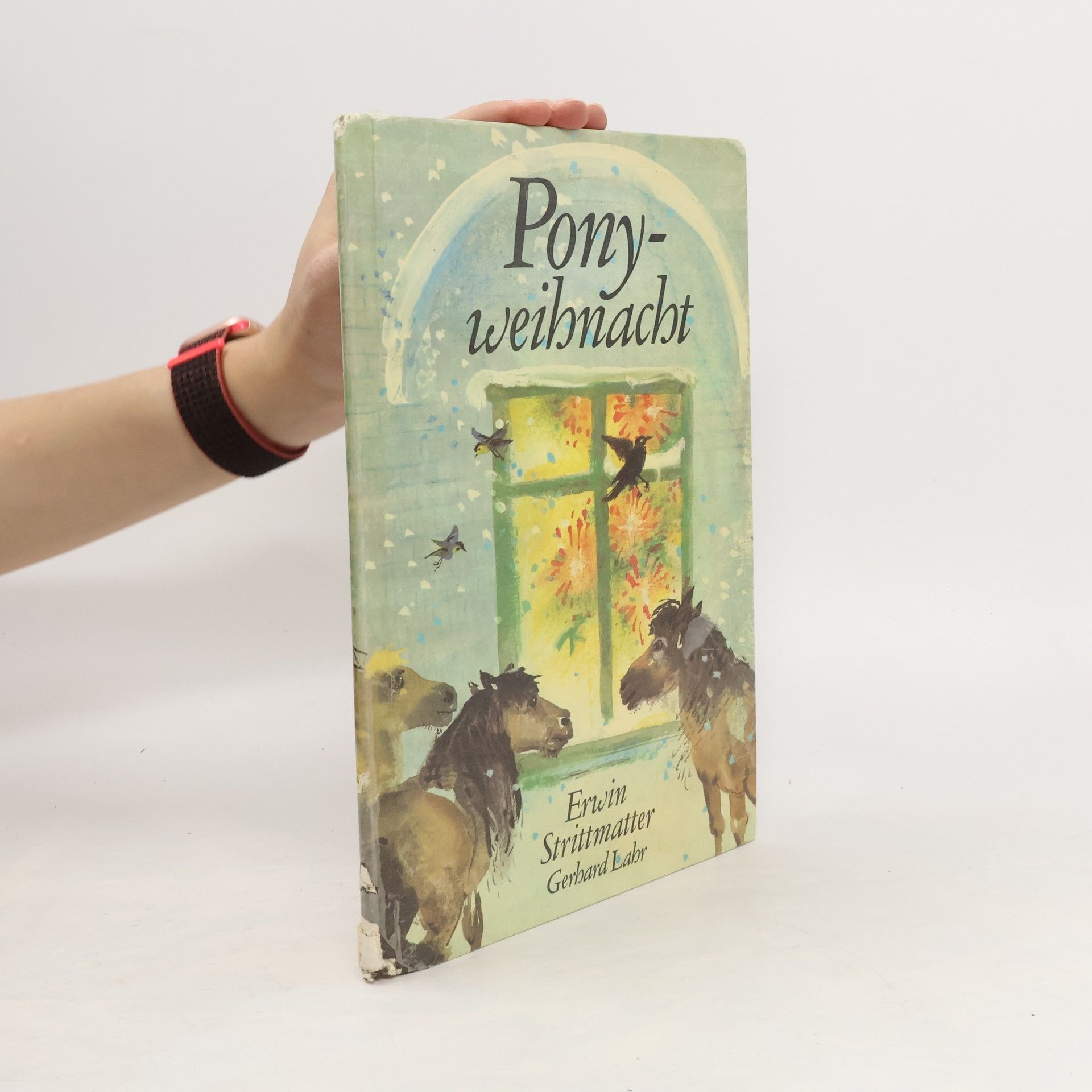 Erwin Strittmatter Ponyweihnacht