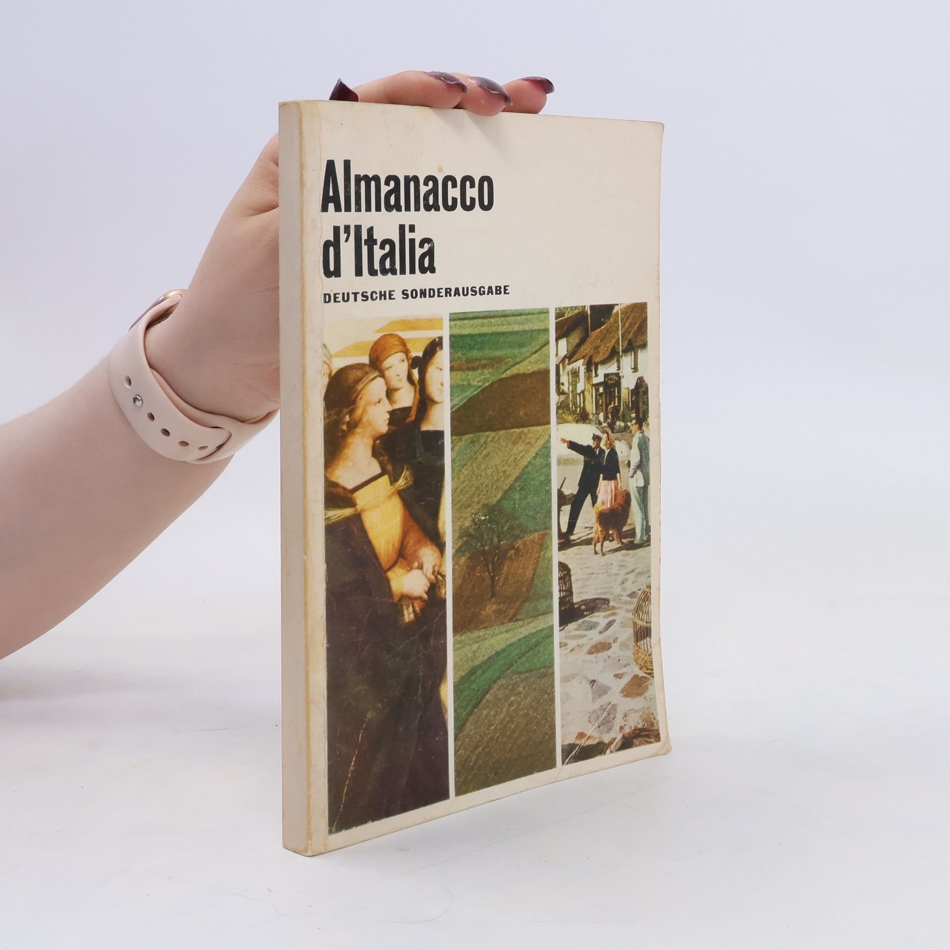 Autorenkollektiv Almanacco d'Italia