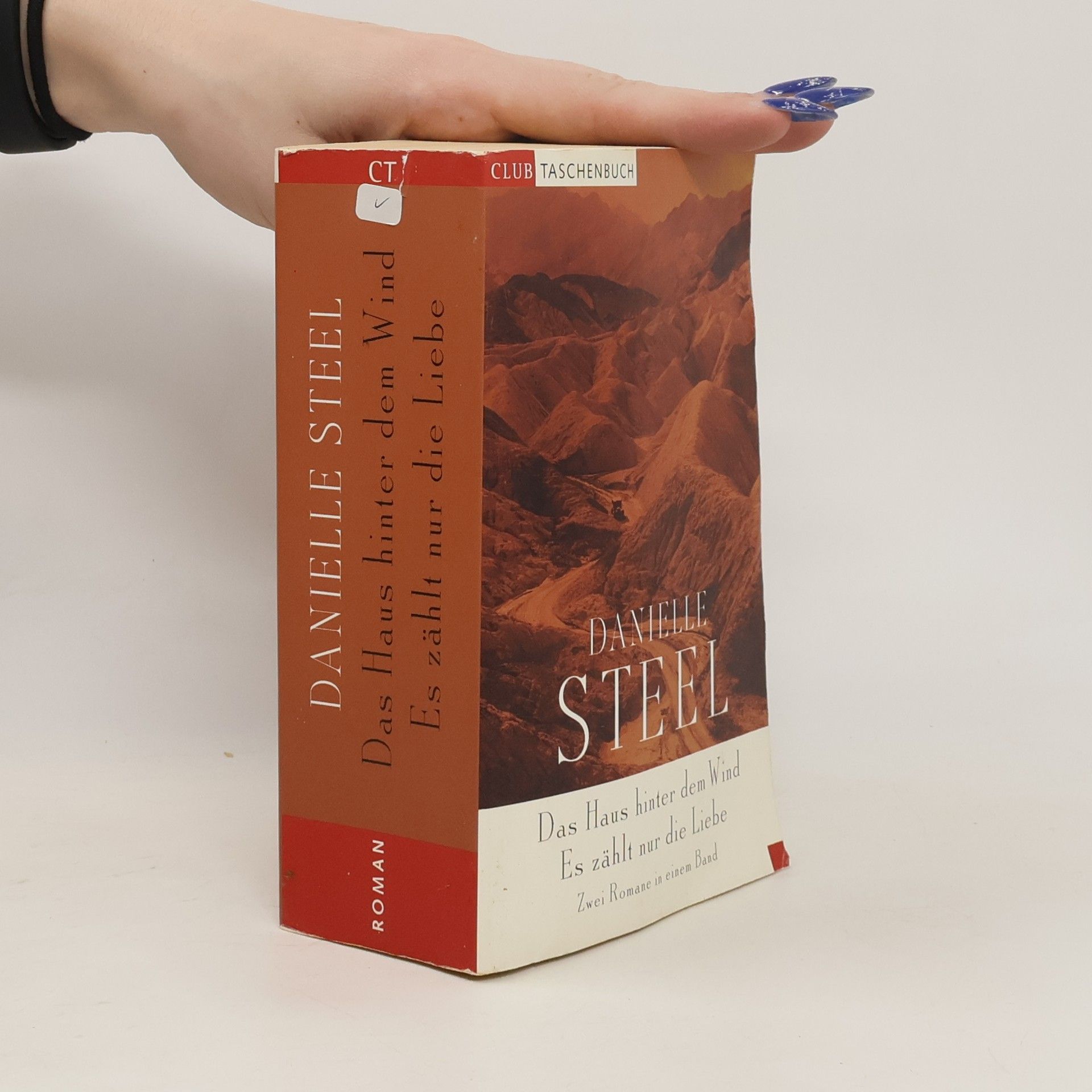 Danielle Steel Das Haus hinter dem Wind