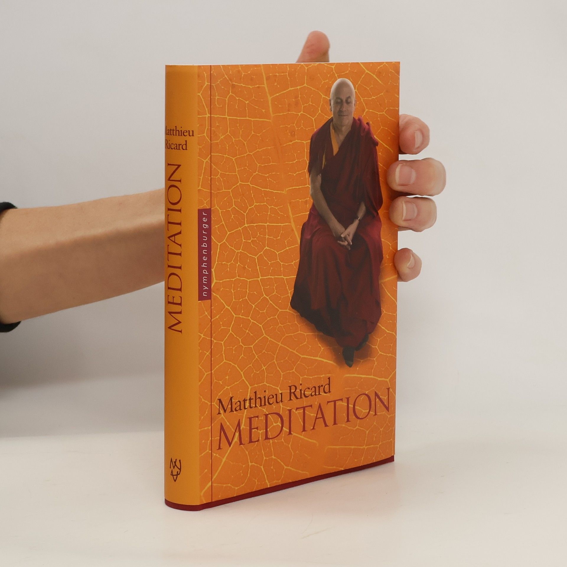 Matthieu Ricard Meditation