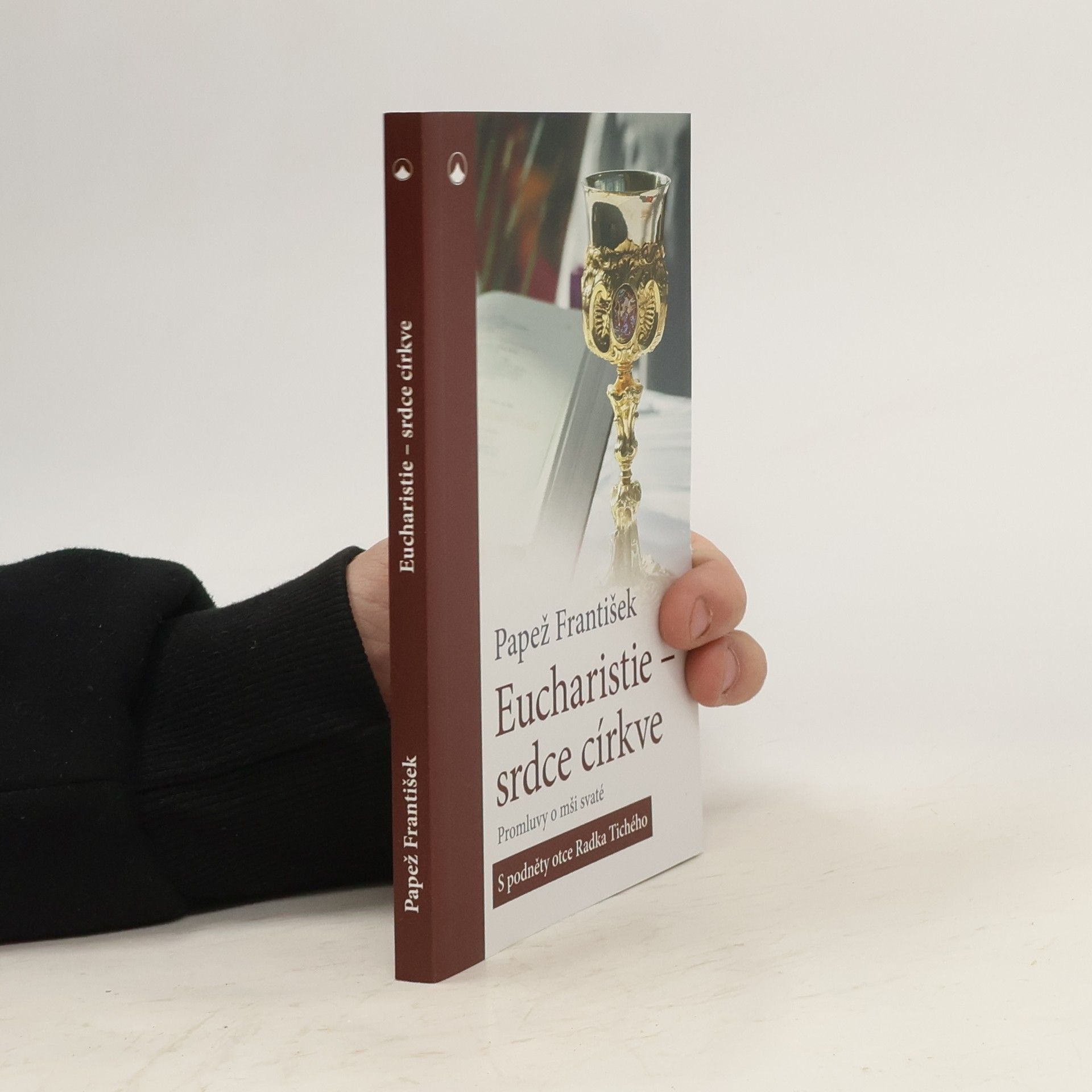 Papež František Eucharistie - srdce církve:  Promluvy o mši svaté  - S podněty otce Radka Tichého