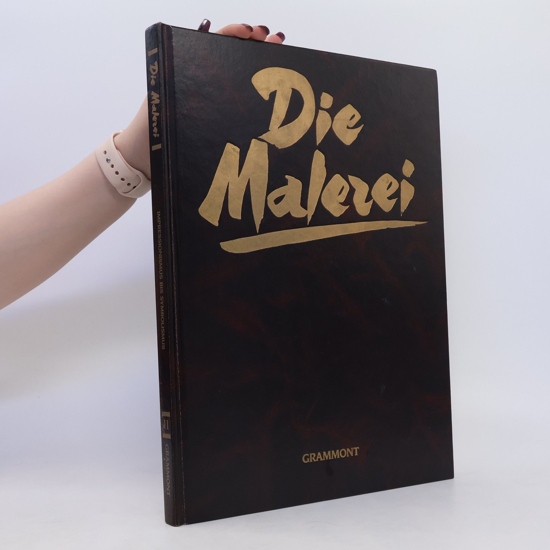 Werner Schabert Die Malerei 11. Impressionismus bis Symbolismus