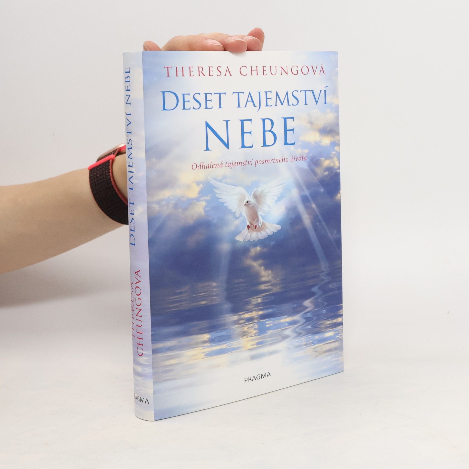 Theresa Francis-Cheung Deset tajemství nebe