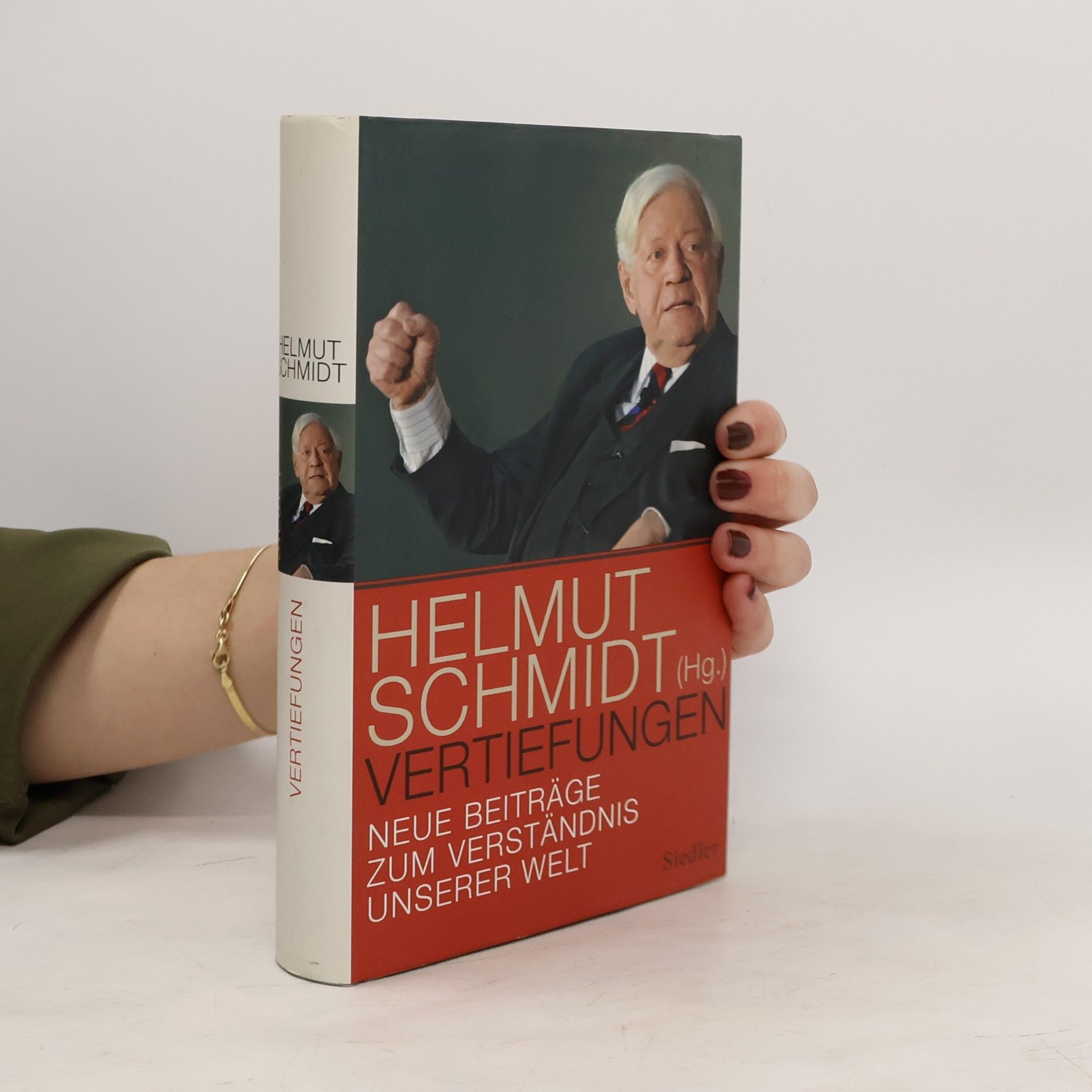 Helmut Schmidt Vertiefungen