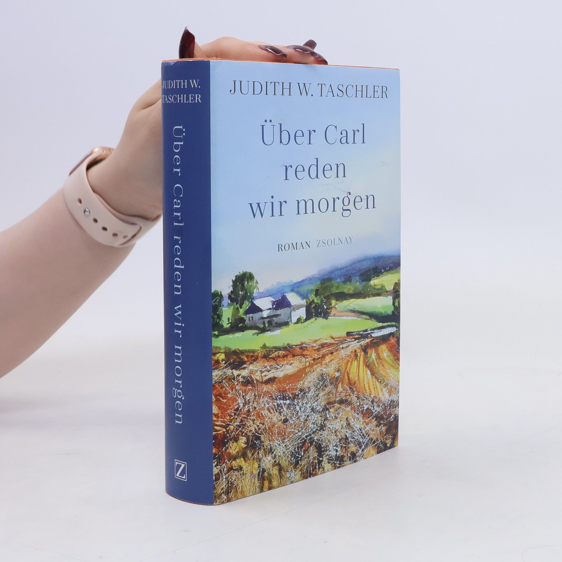 Judith W Taschler Über Carl reden wir morgen