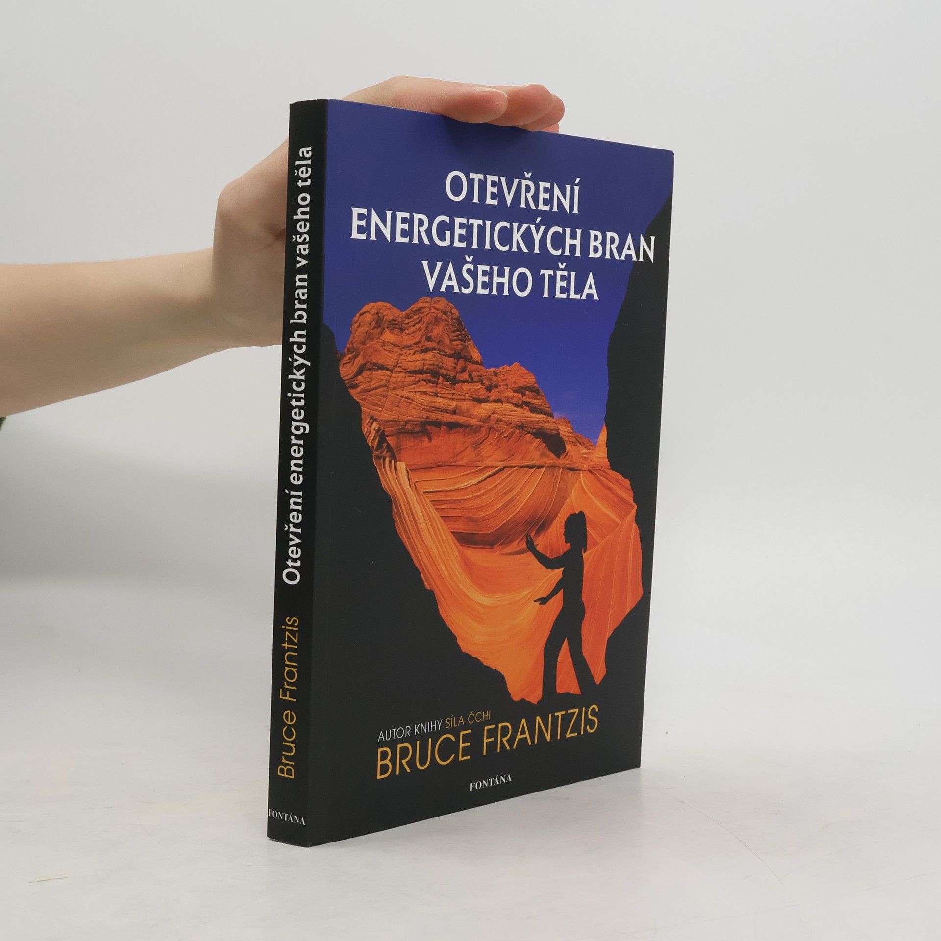 Bruce Kumar Frantzis Otevření energetických bran vašeho těla