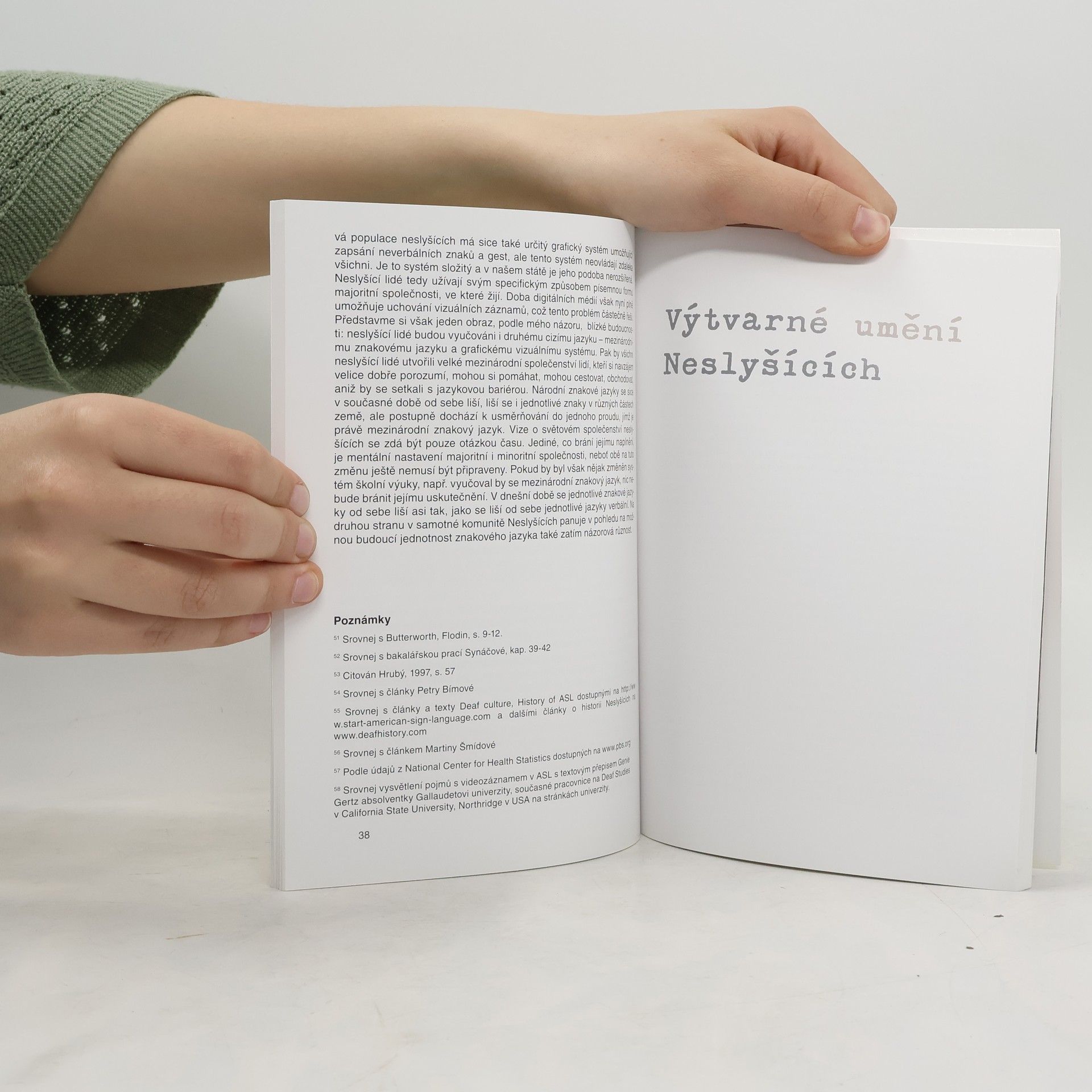 Pavla Novotná Deaf Art. Výtvarné umění v kultuře Neslyšících