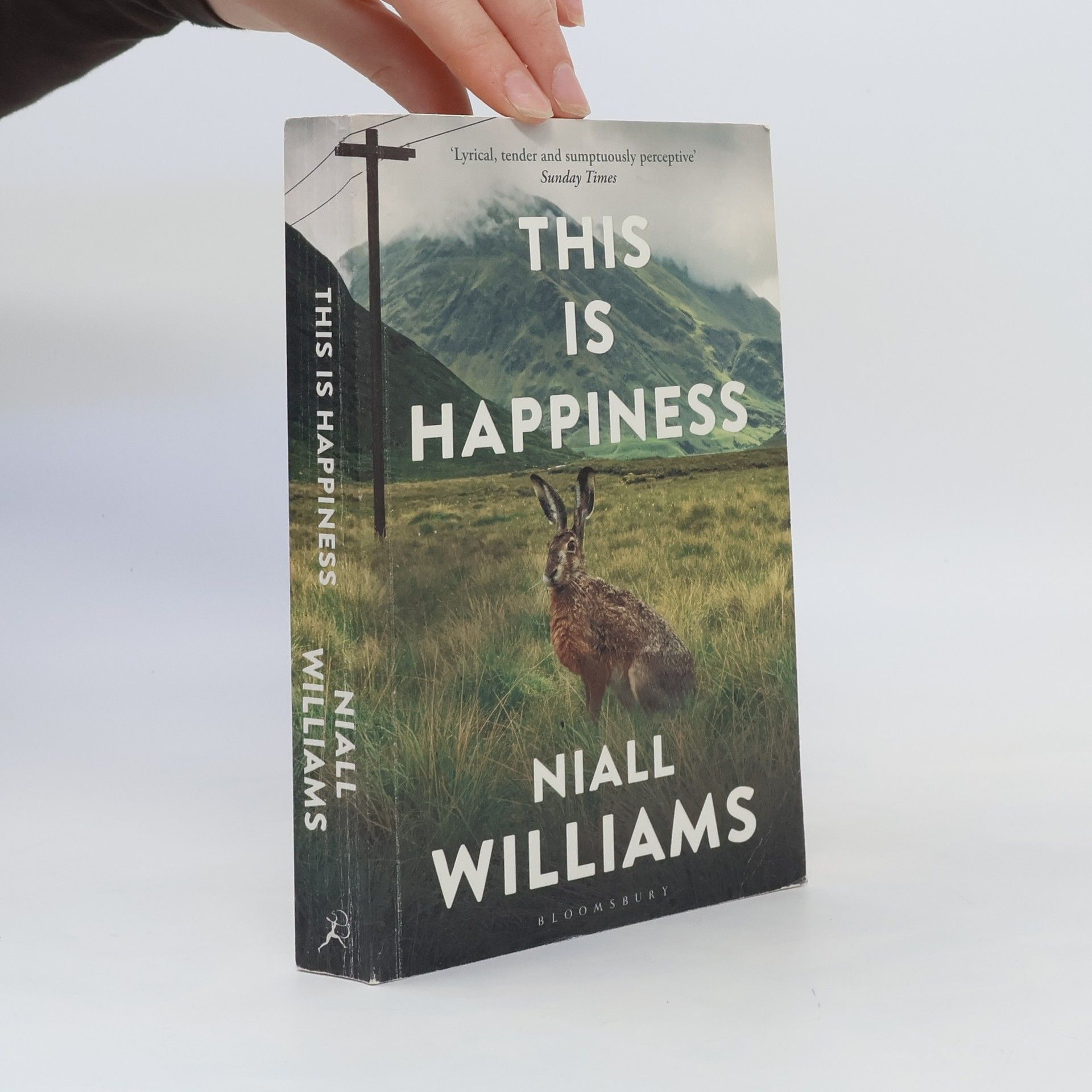 Niall Williams This is happiness