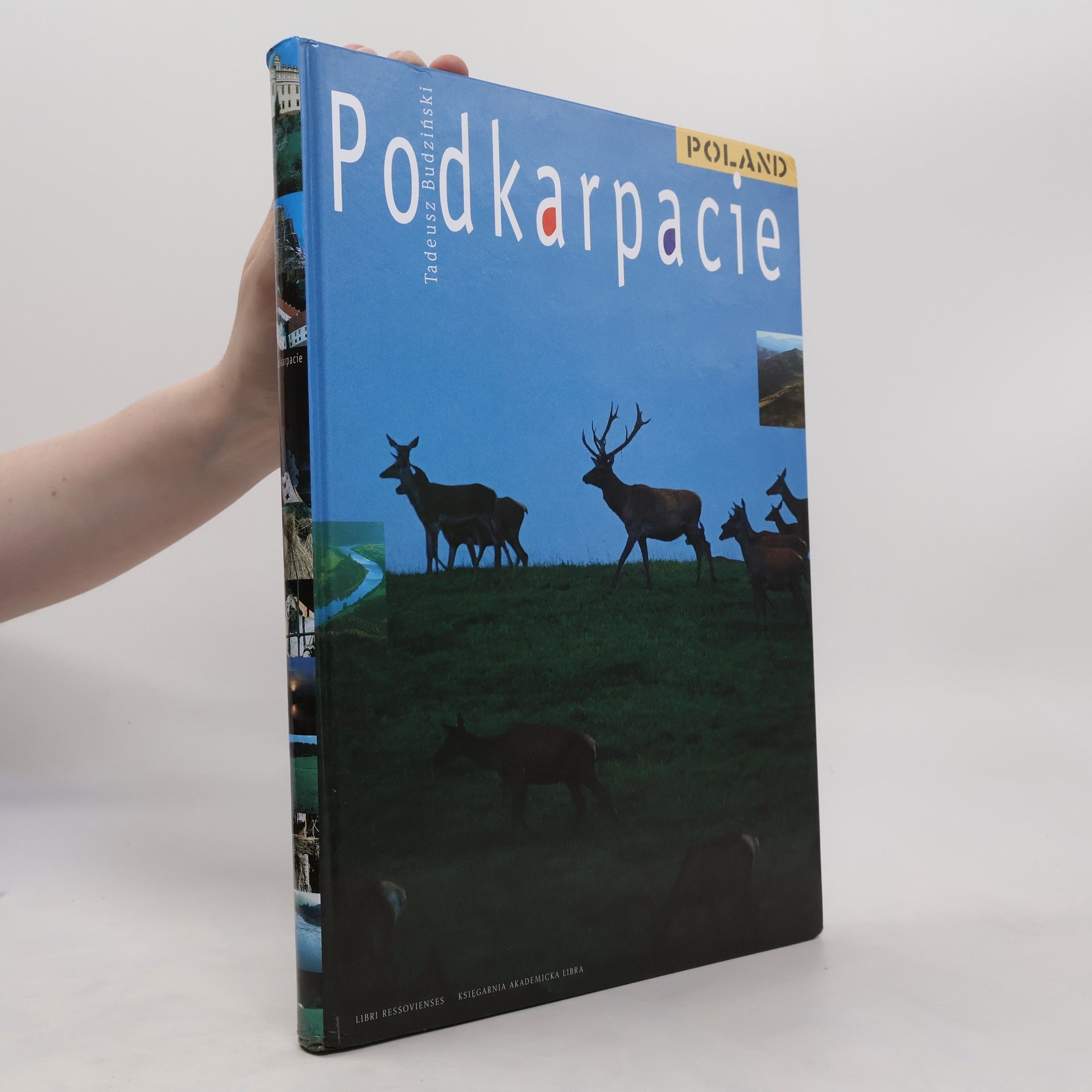 Tadeusz Budziński Podkarpacie