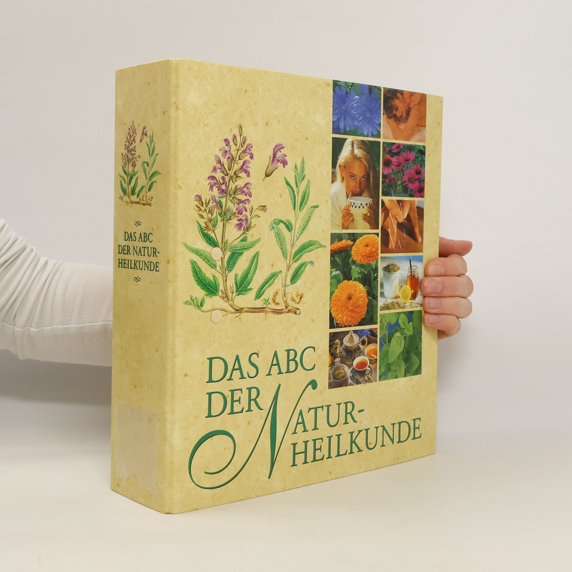 Autorenkollektiv Das ABC der Naturheilkunde