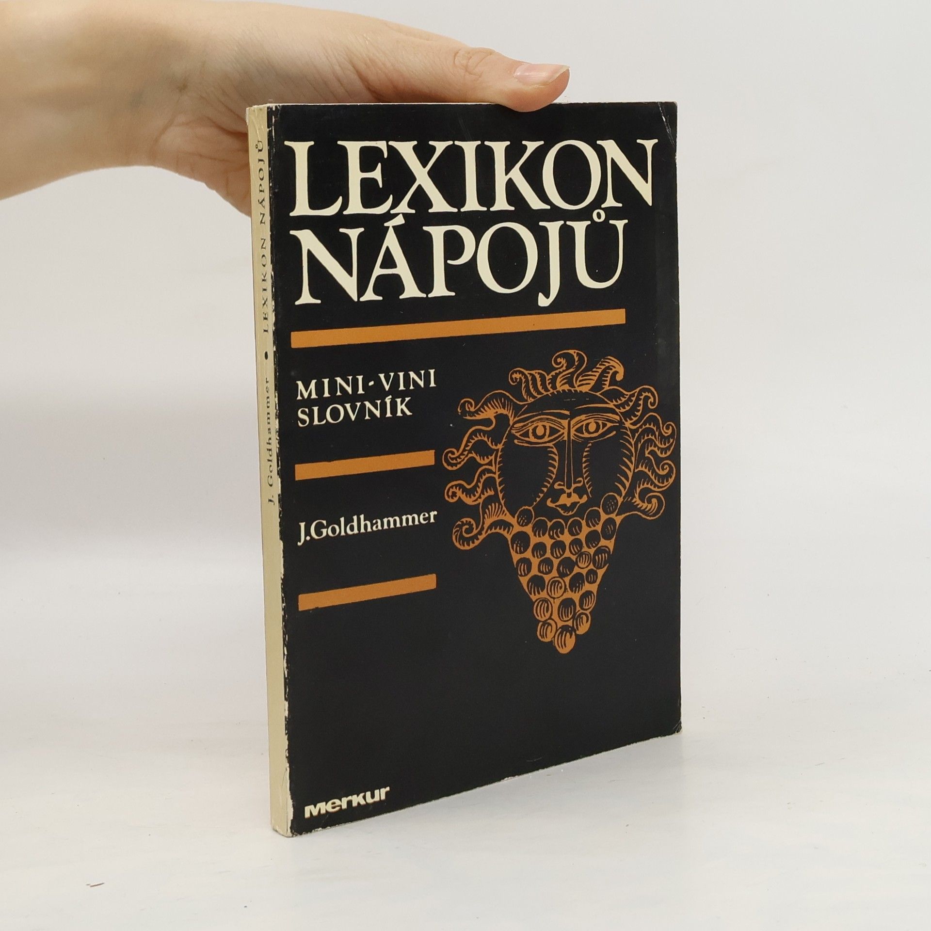 Jan Goldhammer Lexikon nápojů. Mini-vini slovník