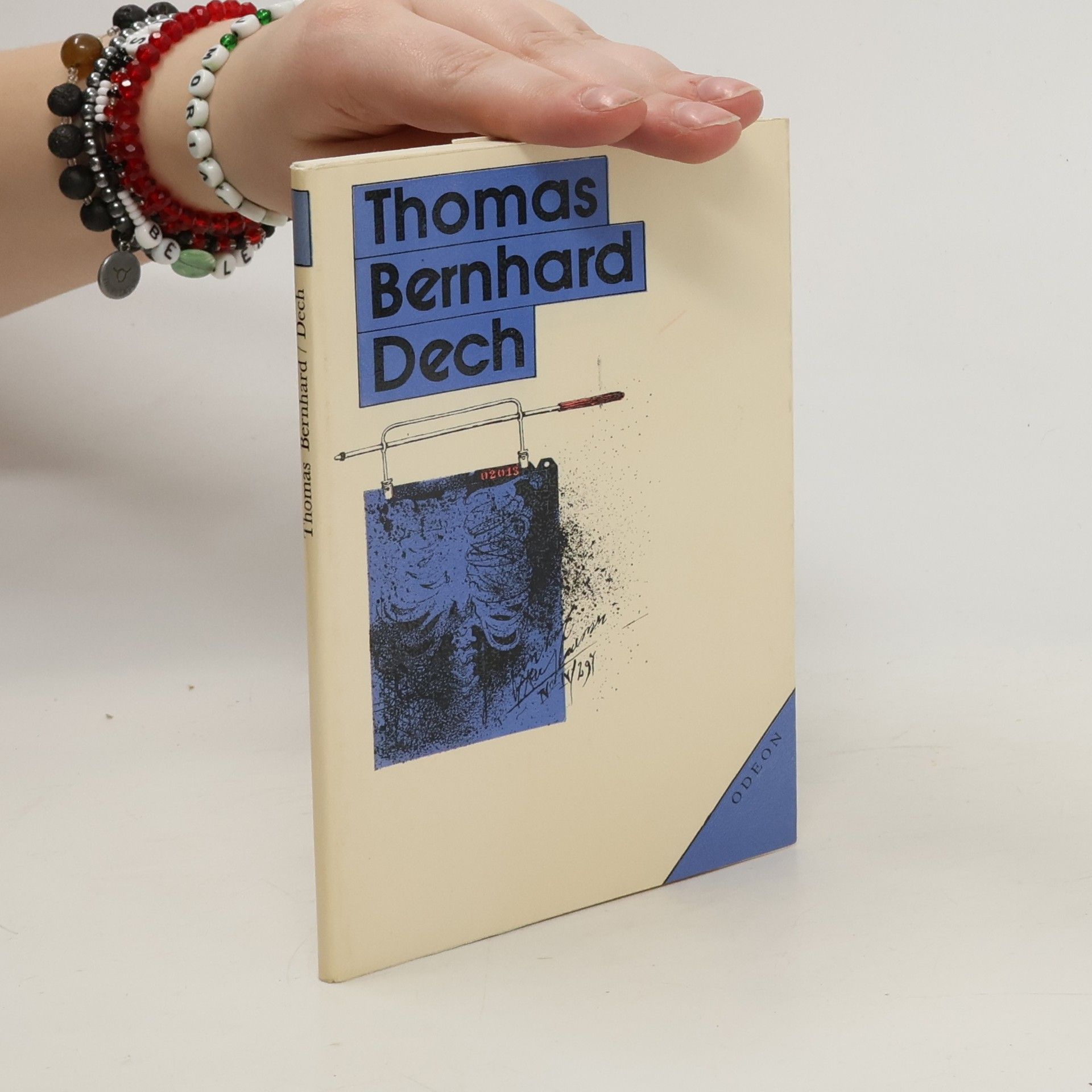 Thomas Bernhard Dech. Jedno rozhodnutí