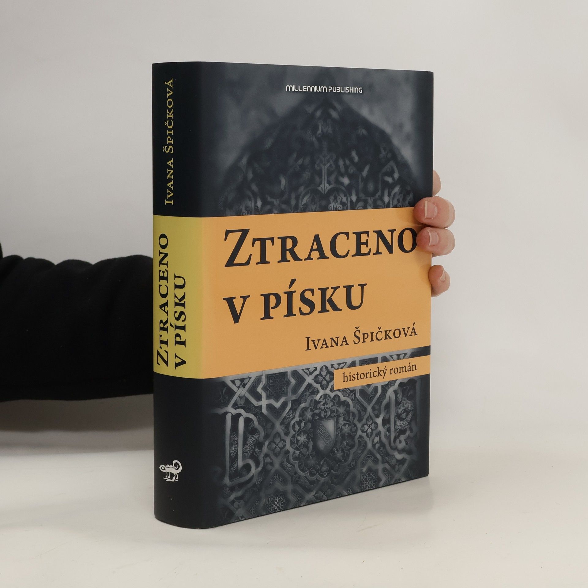 Ivana Špičková Ztraceno v písku