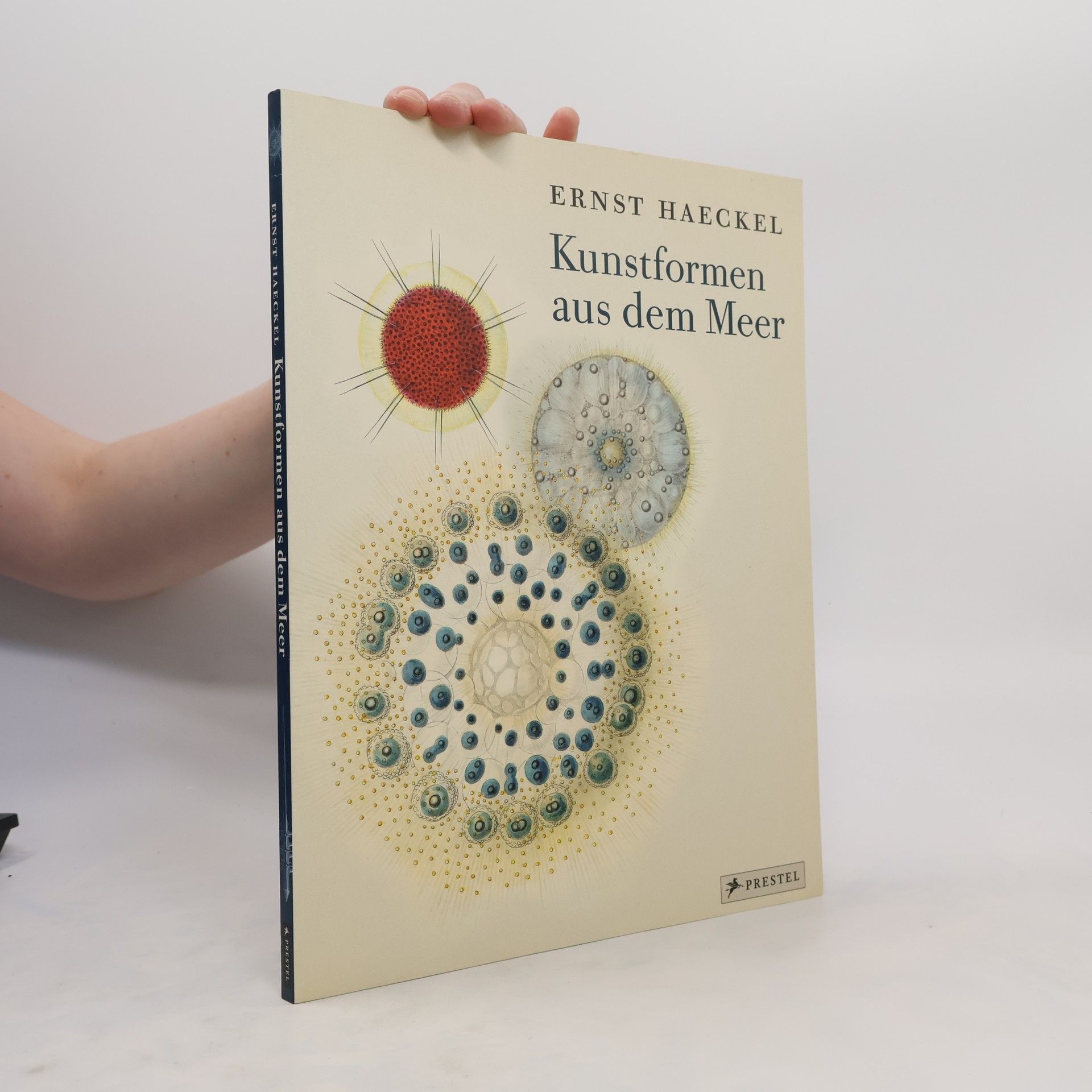 Ernst Haeckel Kunstformen aus dem Meer