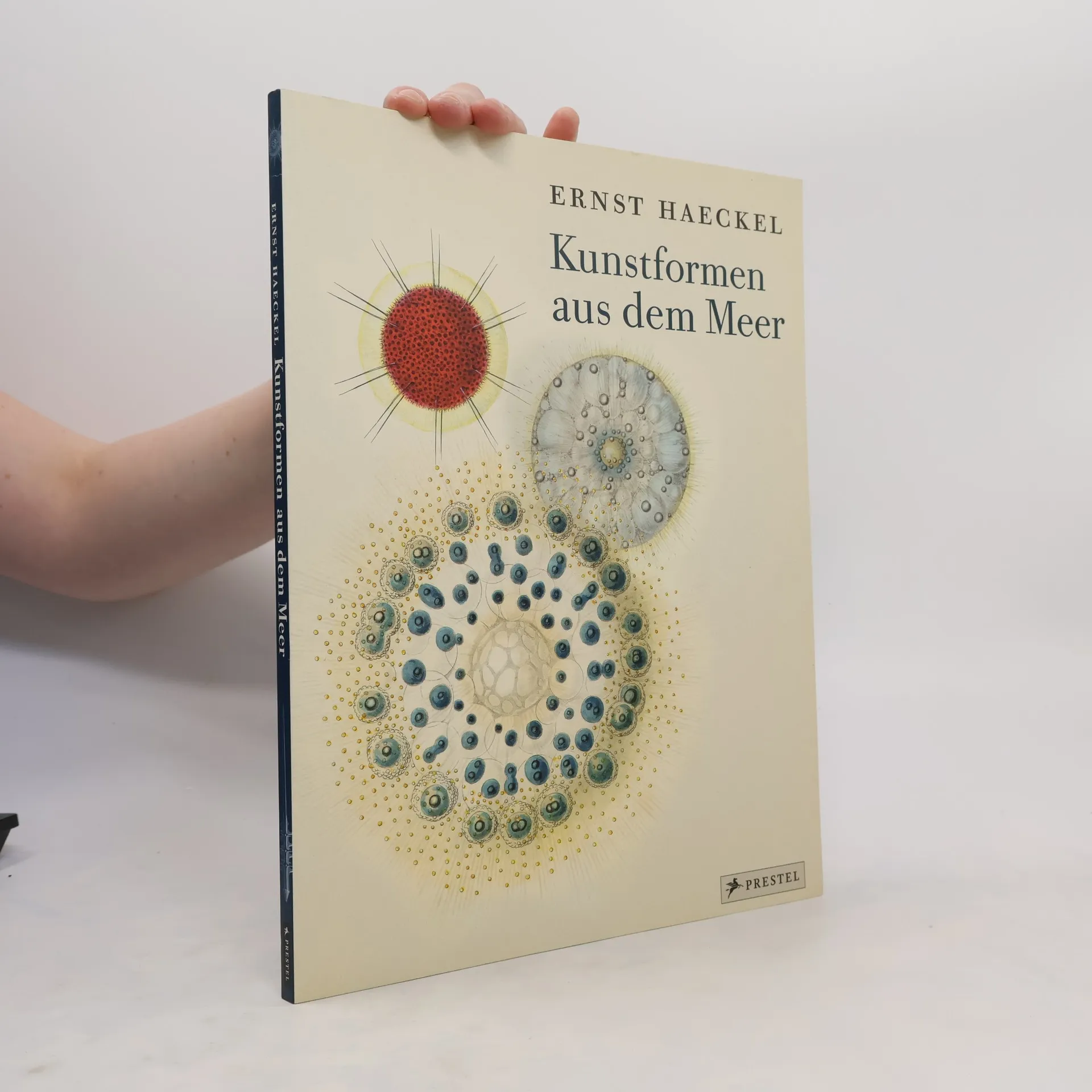 Kunstformen aus dem Meer | Kniha | mäkká | Ernst Haeckel | DE