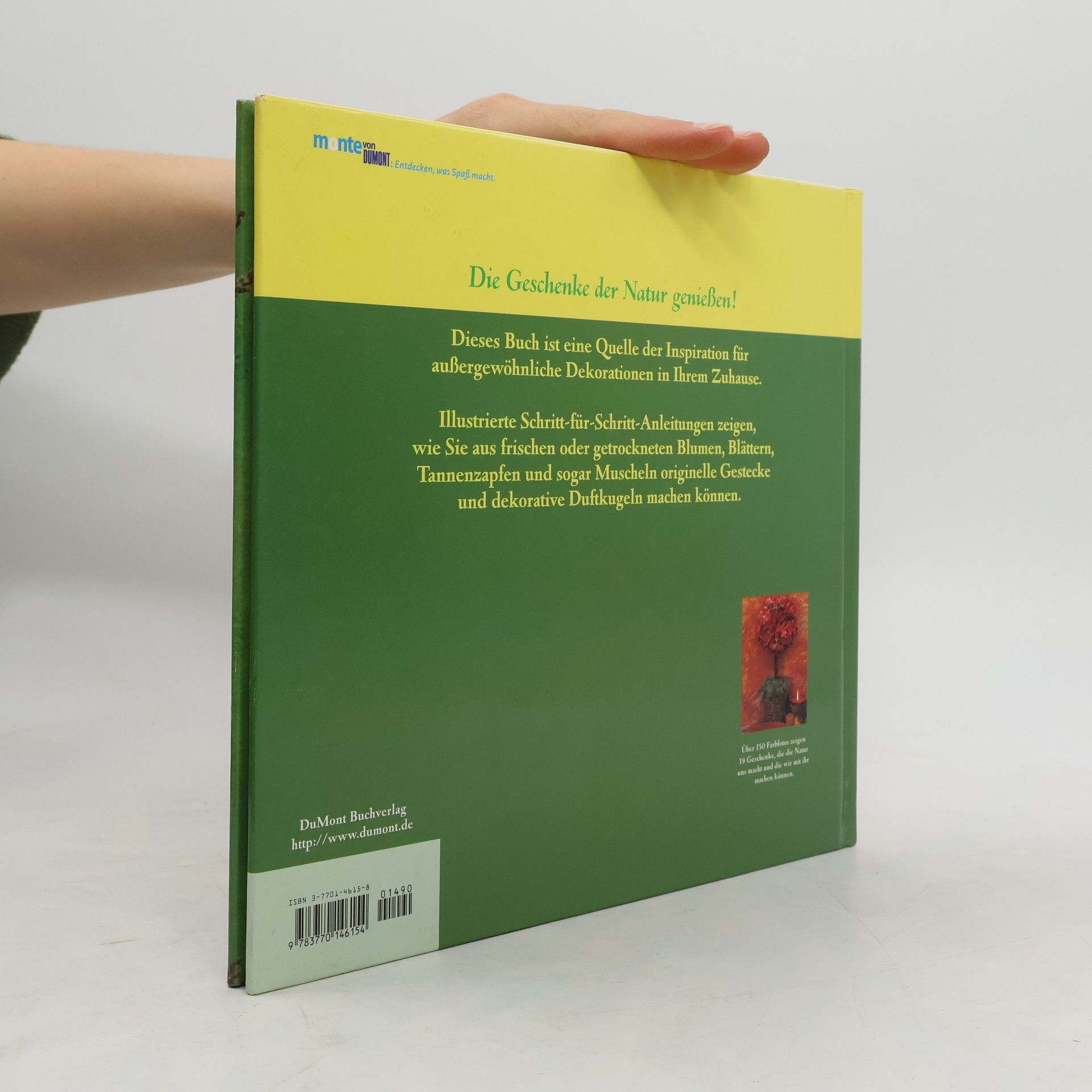 Jollands Beverley Geschenke der Natur - Dekorationen und Gestecke