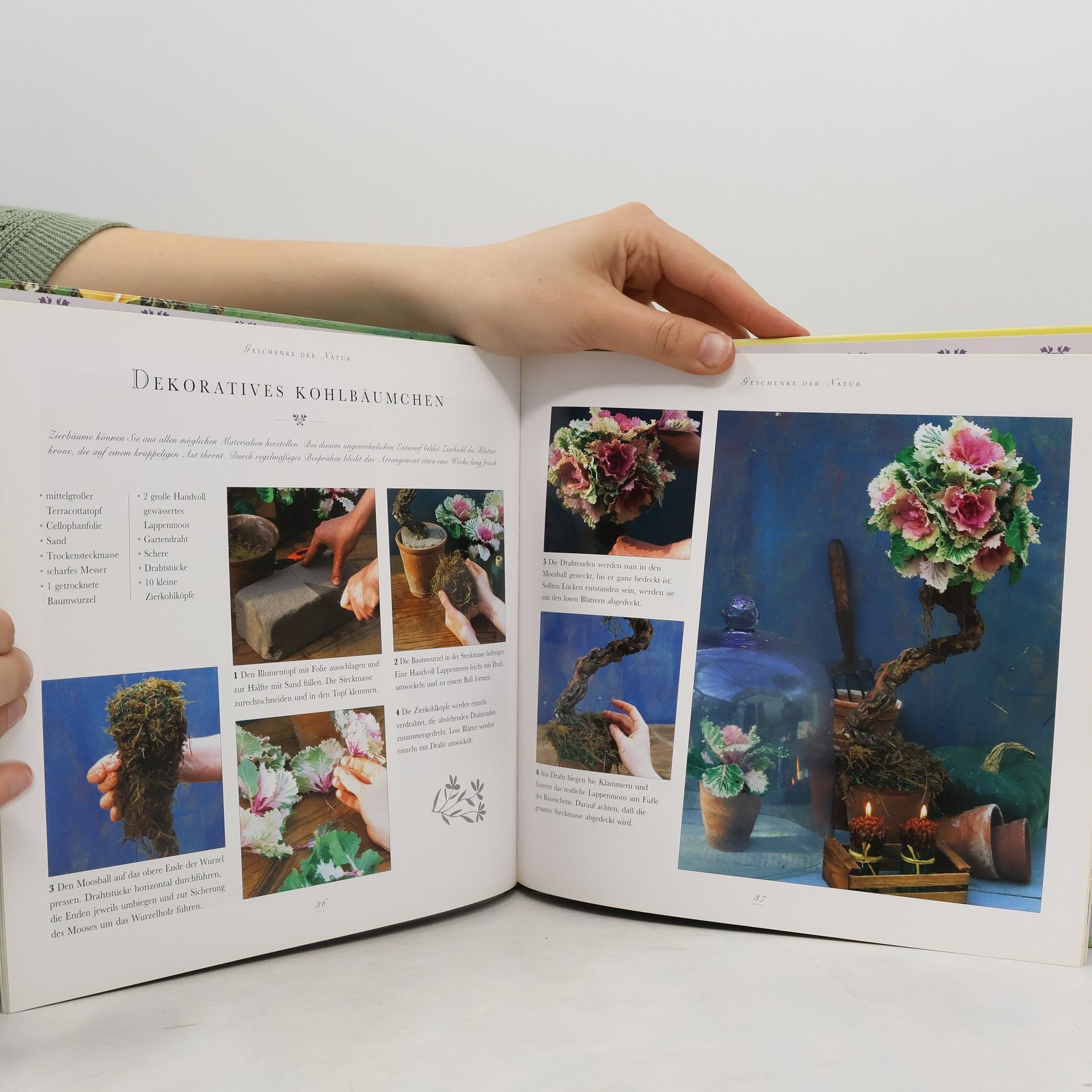 Jollands Beverley Geschenke der Natur - Dekorationen und Gestecke