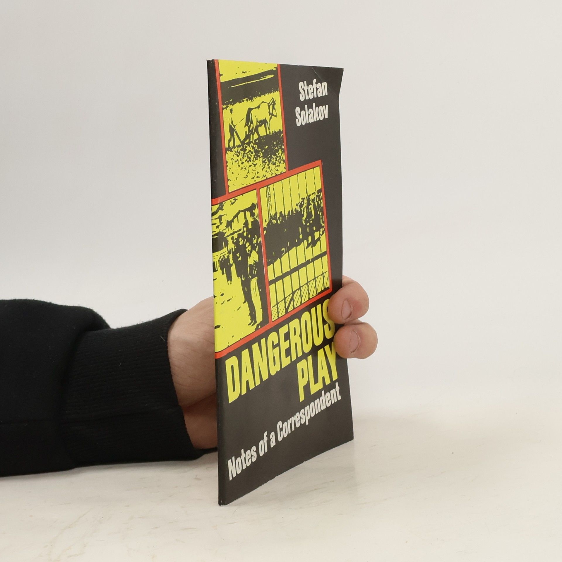Stefan Solakov Dangerous Play