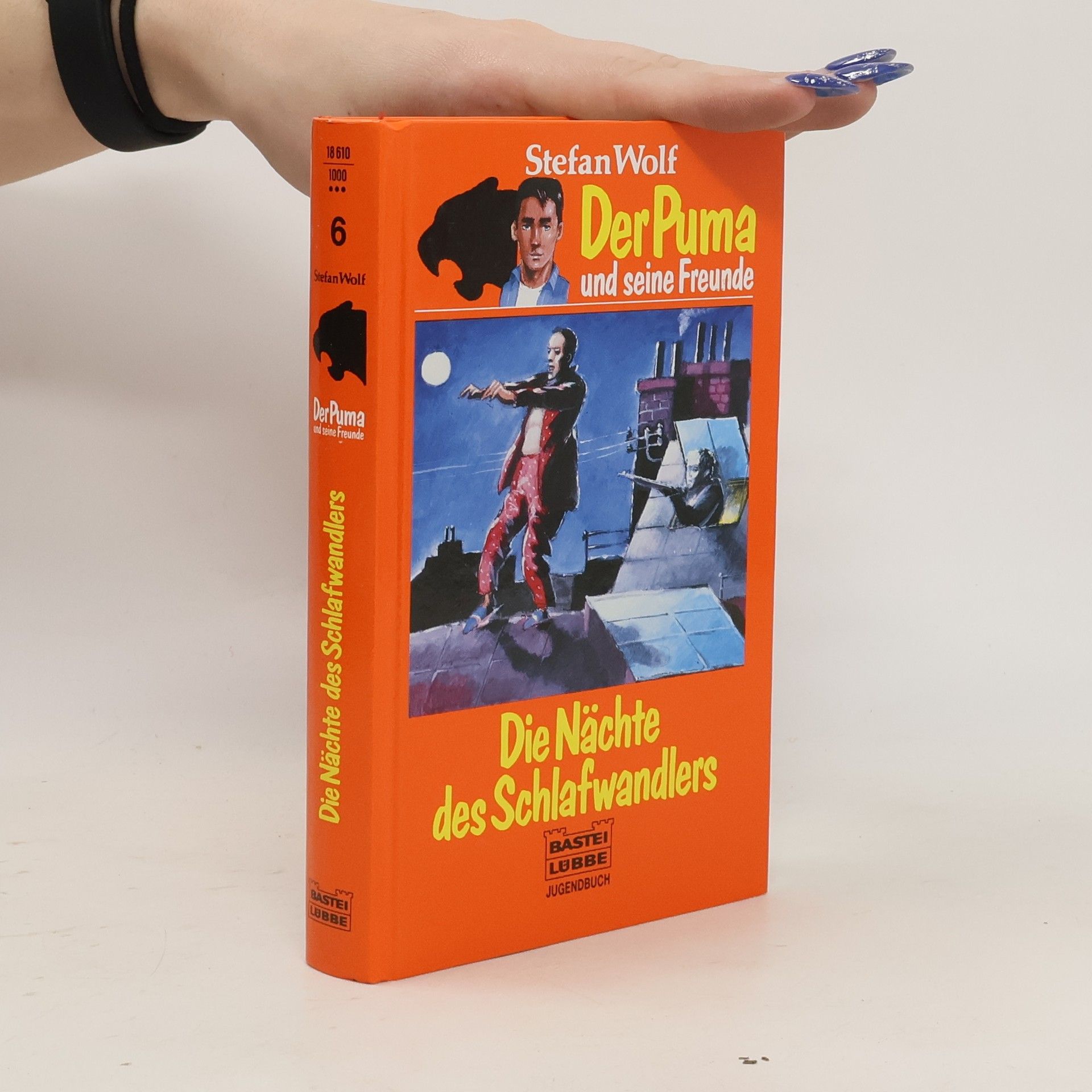 Stefan Wolf Der Puma und seine Freunde 6: Die Nächte des Schlafwanlers