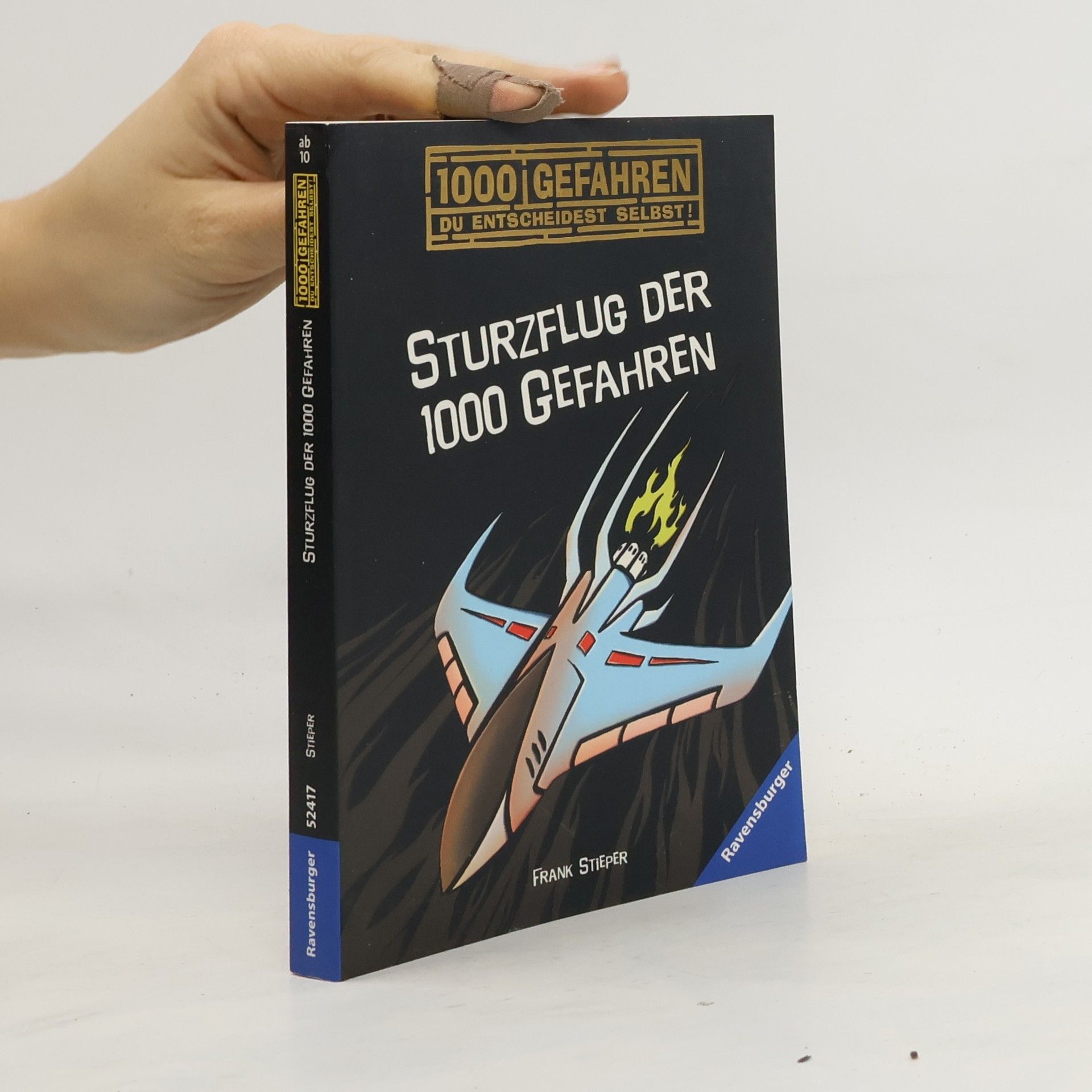 Frank Stieper Sturzflug der 1000 Gefahren
