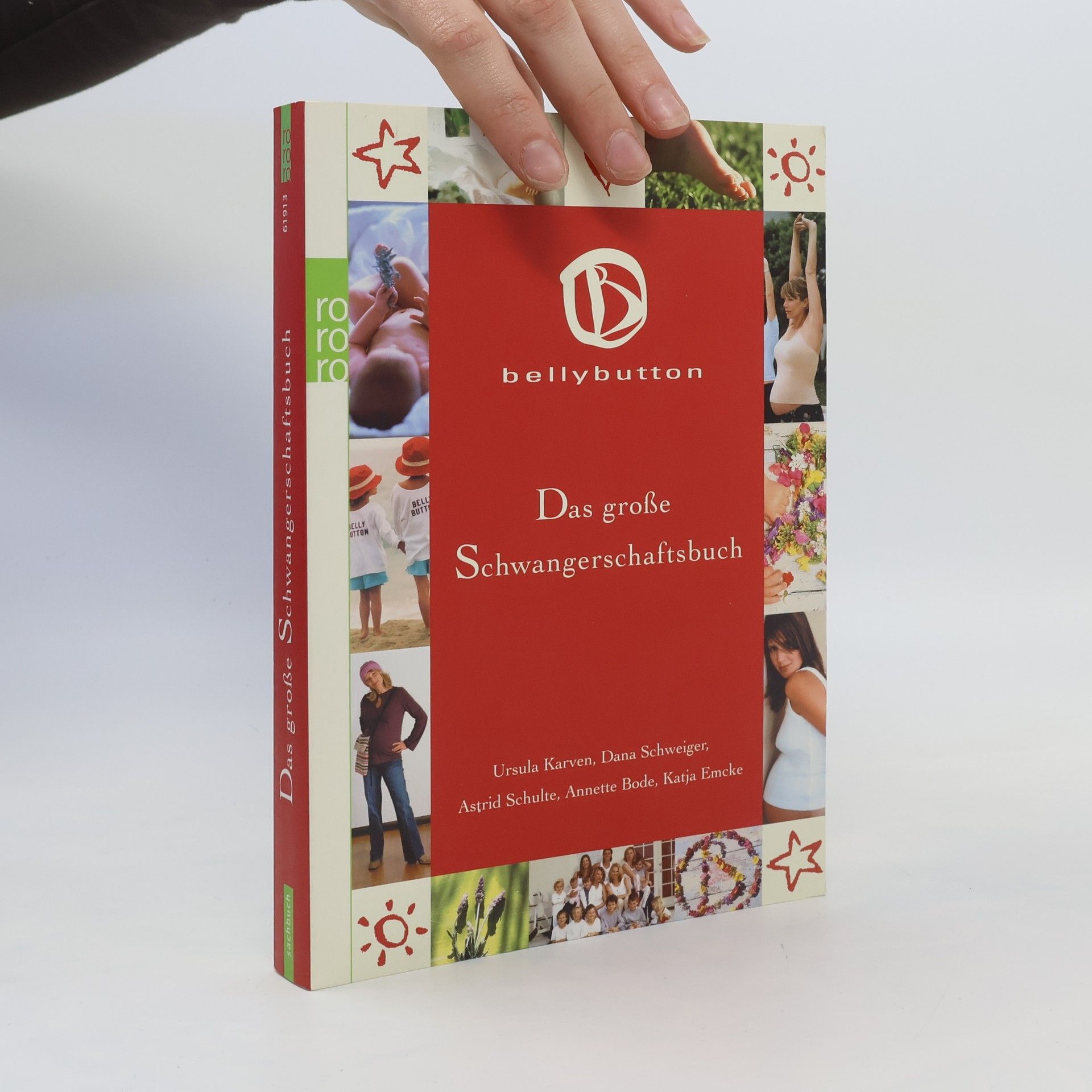 kolektiv Das große Schwangerschaftsbuch