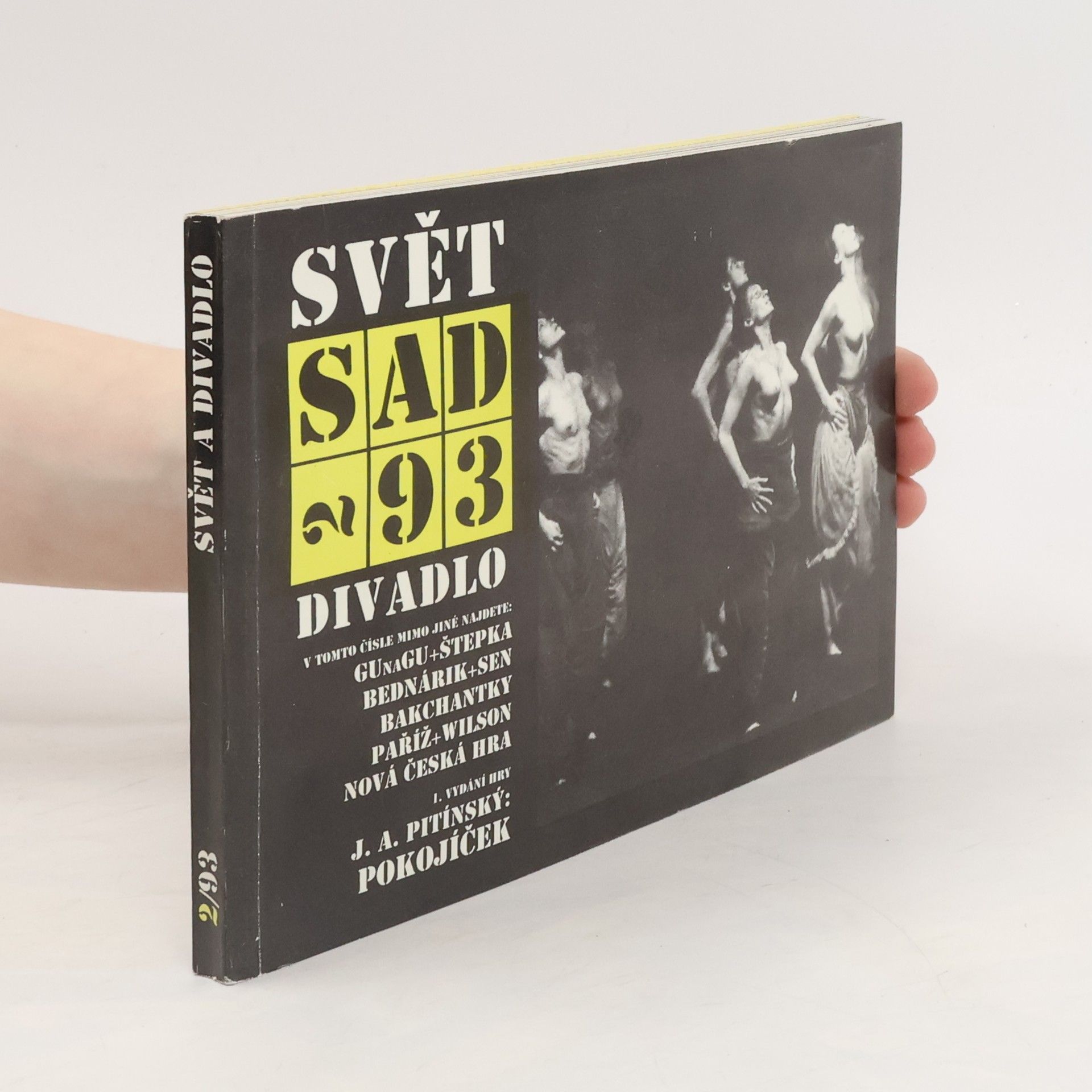 kolektiv Svět a divadlo 2/93
