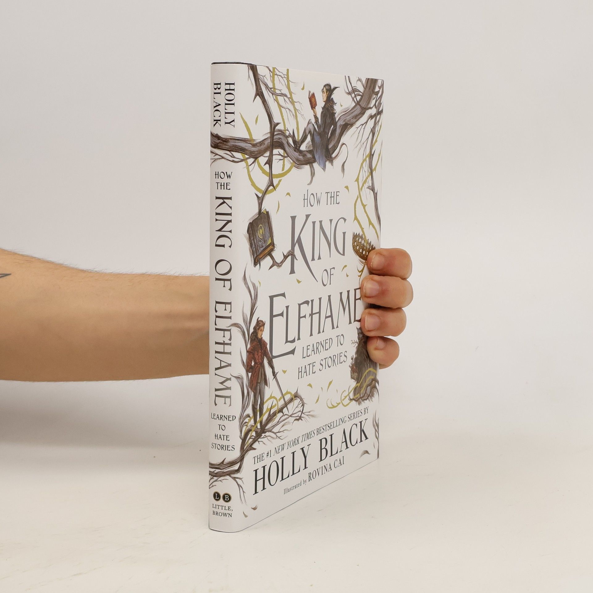 Holly Black How the King of Elfhame Learned to Hate Stories