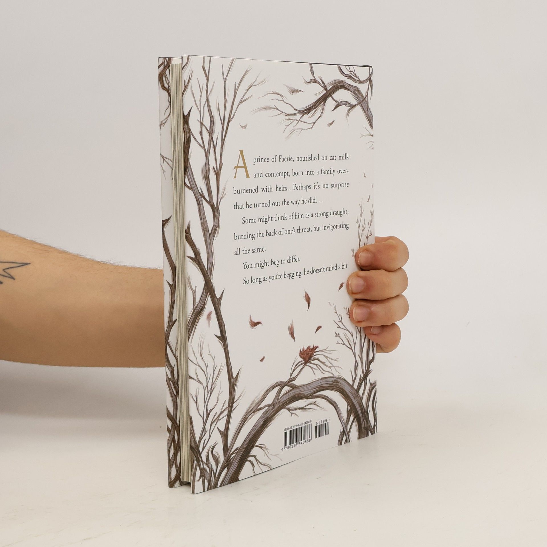 Holly Black How the King of Elfhame Learned to Hate Stories