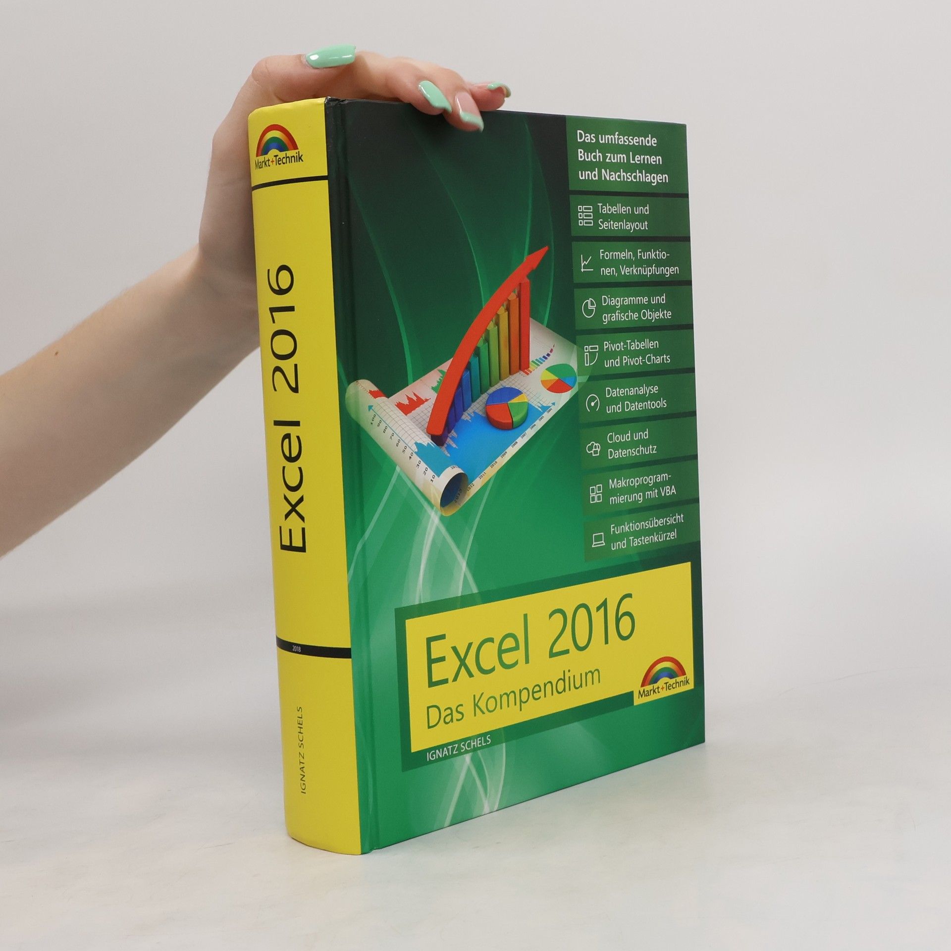 Ignatz Schels Excel 2016 - das Kompendium