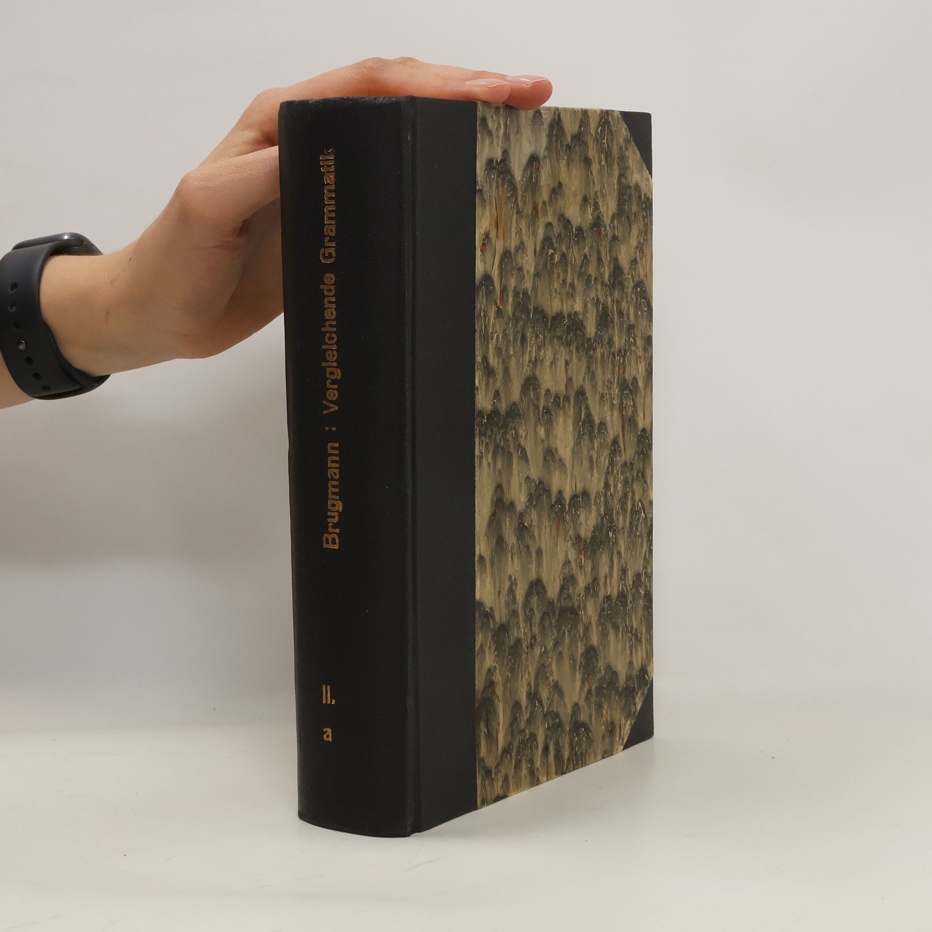 Karl Brugmann Vergleichende Grammatik der indogermanischen Sprachen II.a