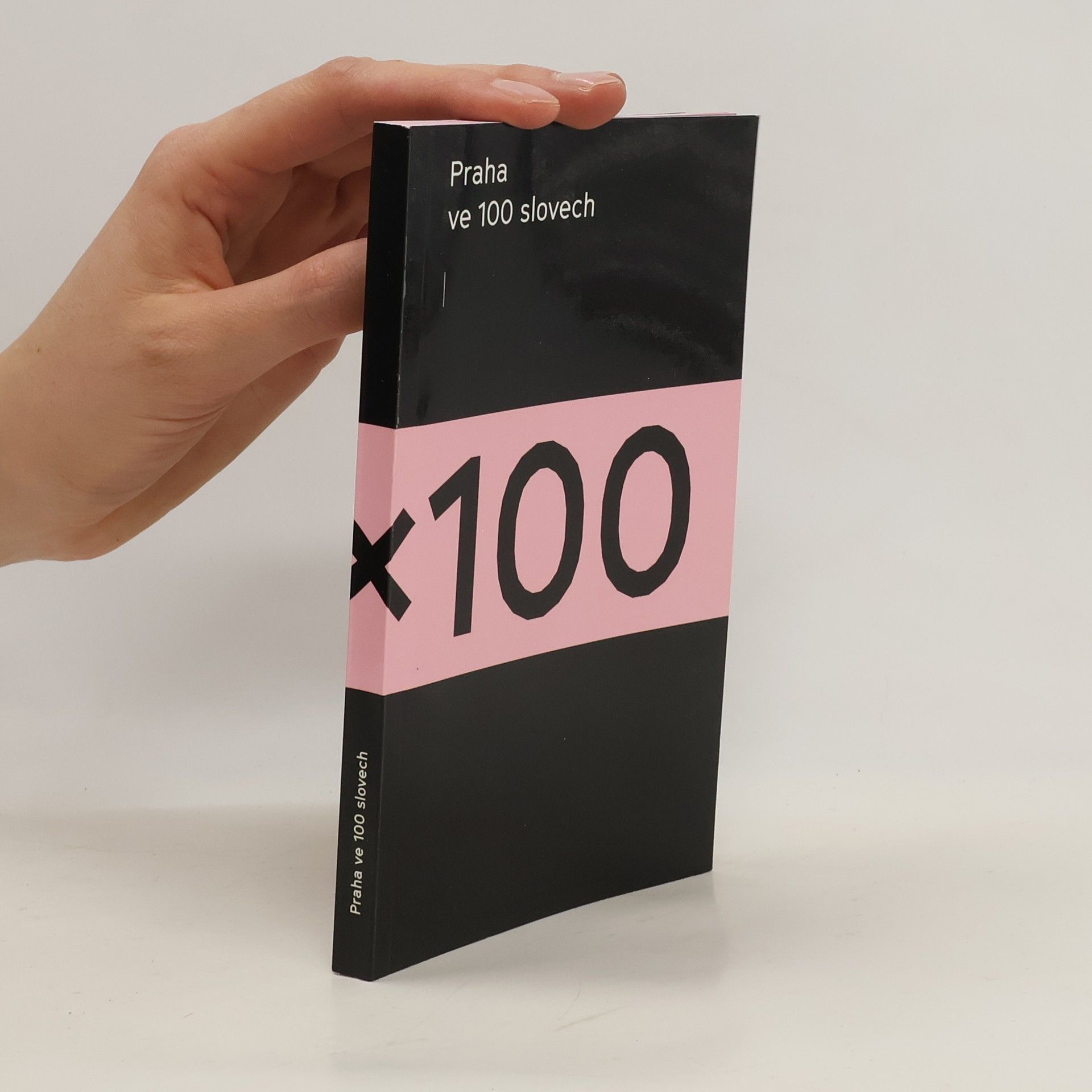 Autorenkollektiv Praha ve 100 slovech