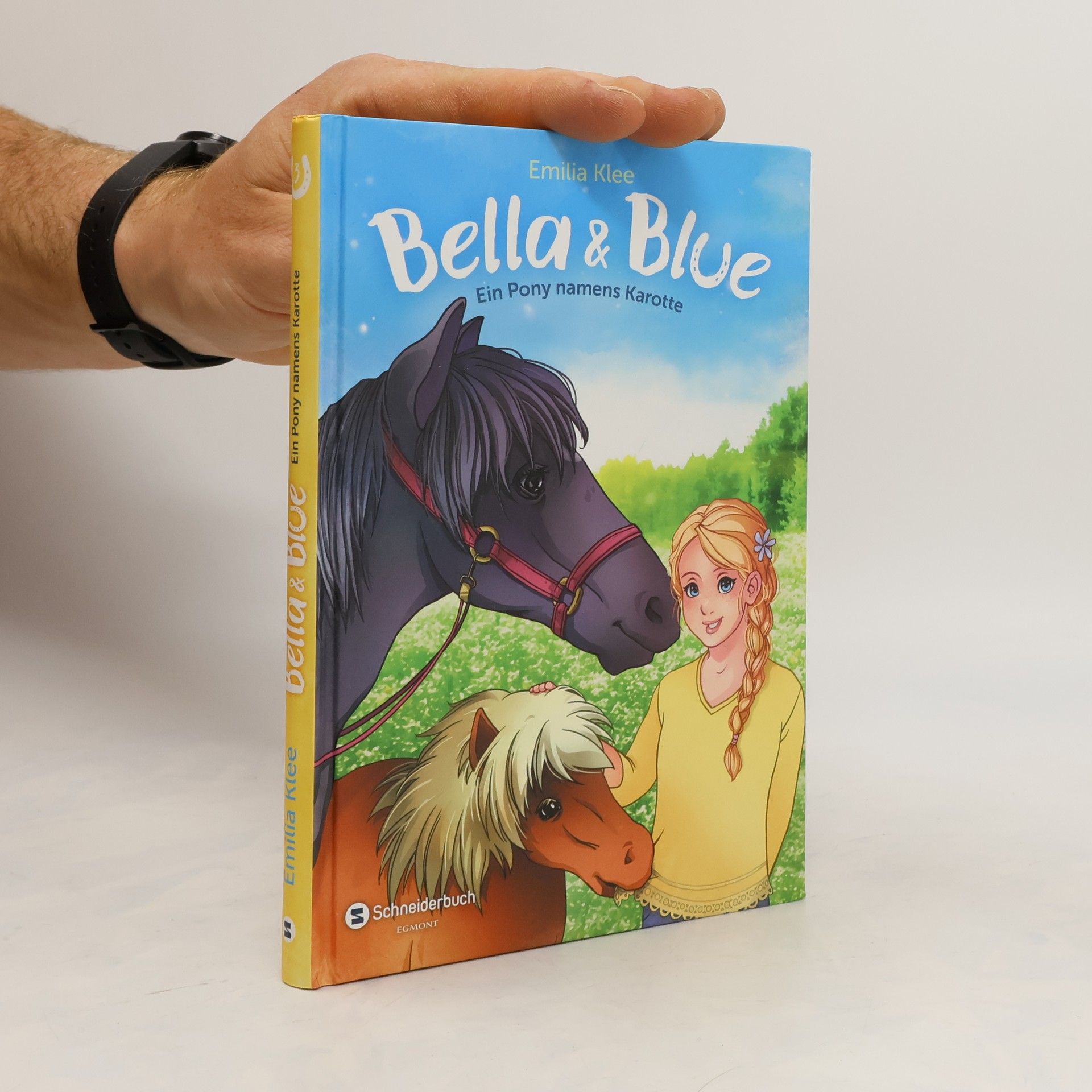 Emilia Klee Ein Pony namens Karotte