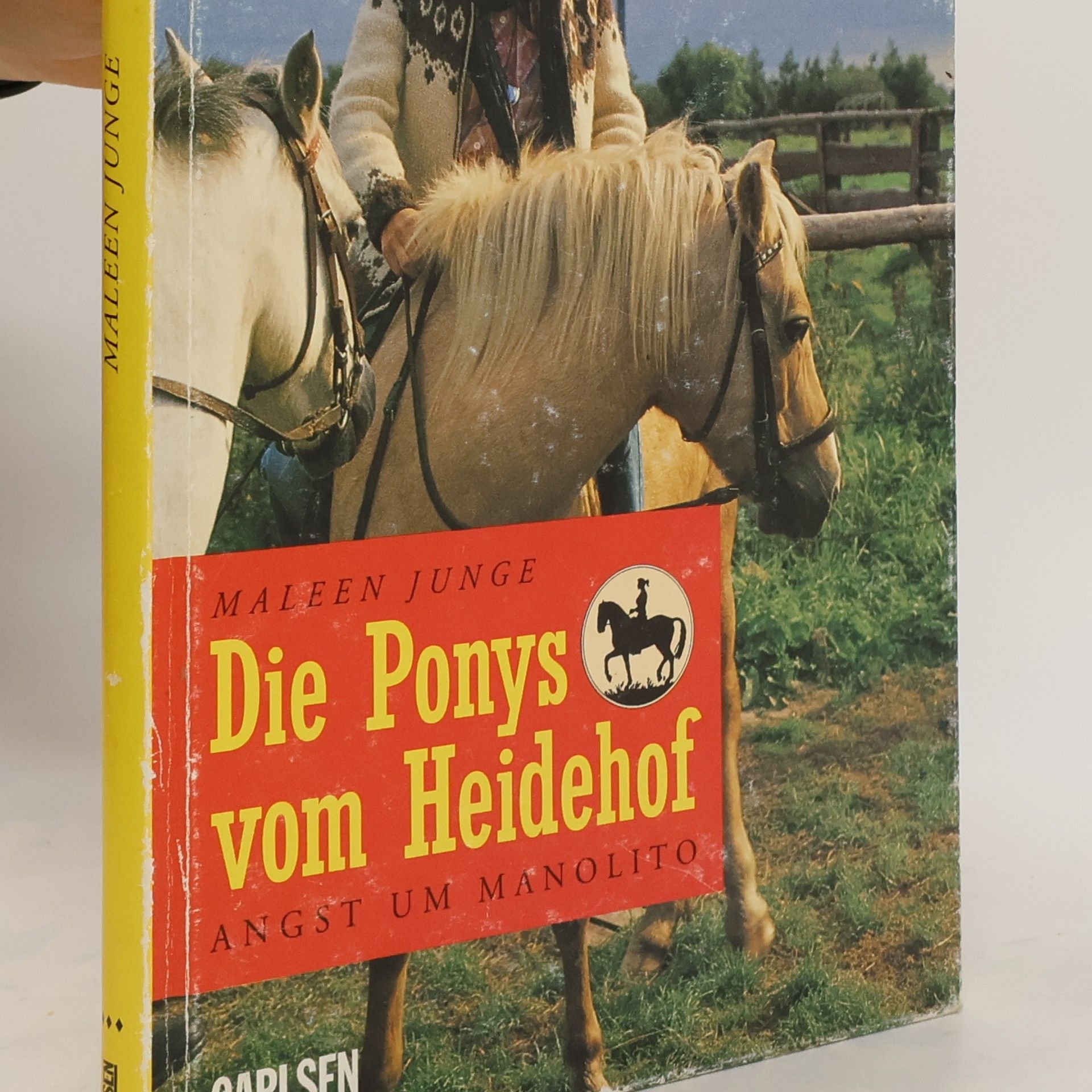 Maleen Junge Die Ponys vom Heidehof