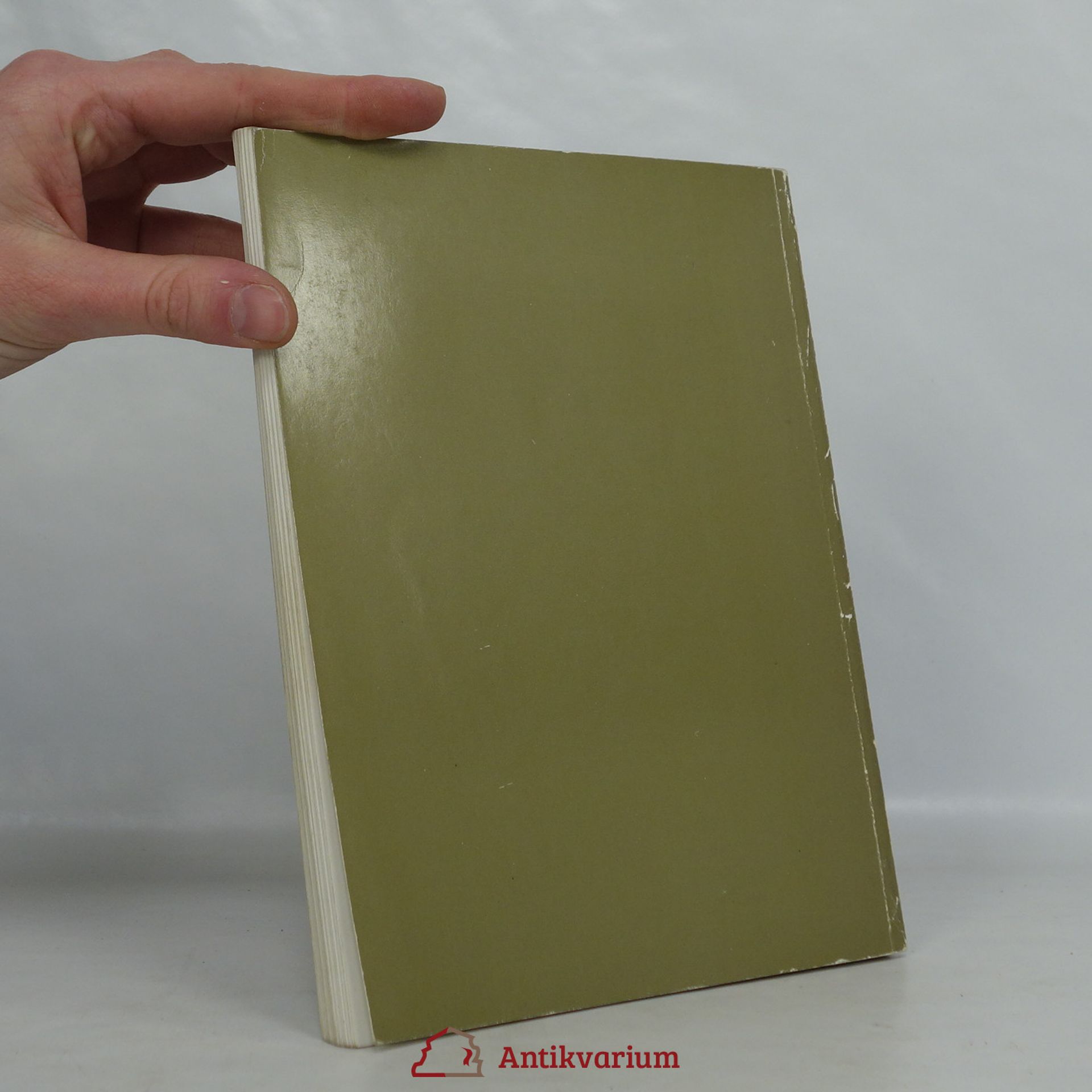 Autorenkollektiv 100 Schilderijen, Paintings, Tableaux, Gemälde