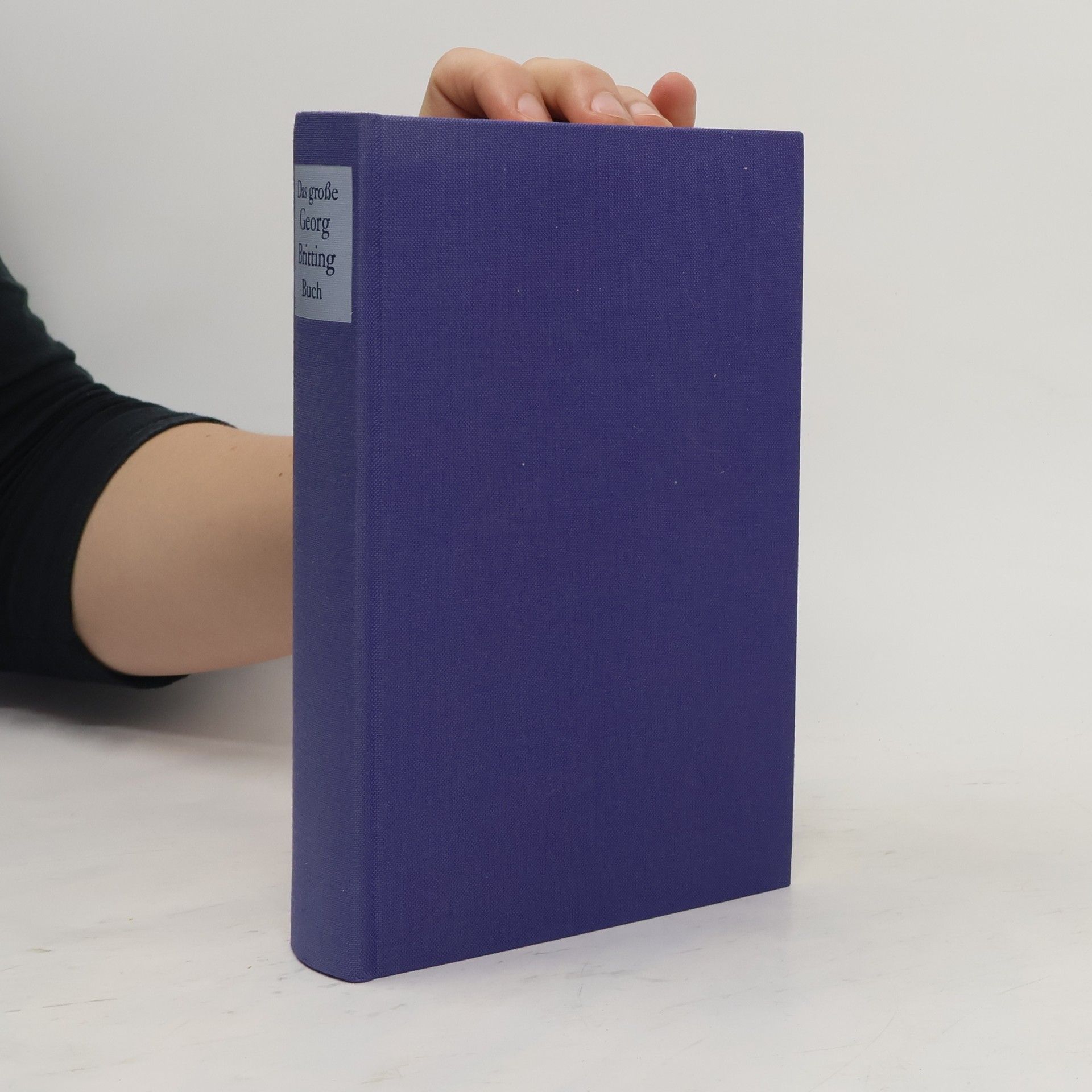 Ingeborg Schuldt-Britting Das grosse Georg-Britting-Buch