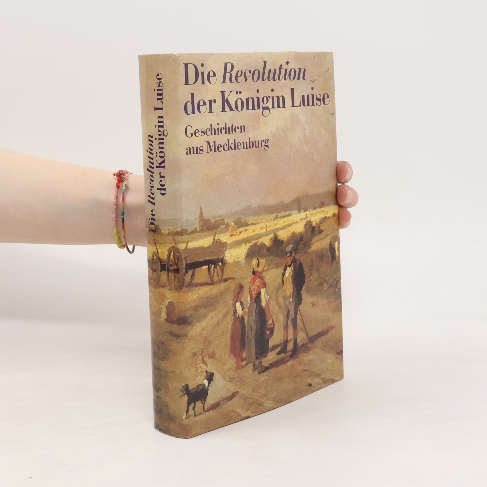 kolektiv Die Revolution der Königin Luise