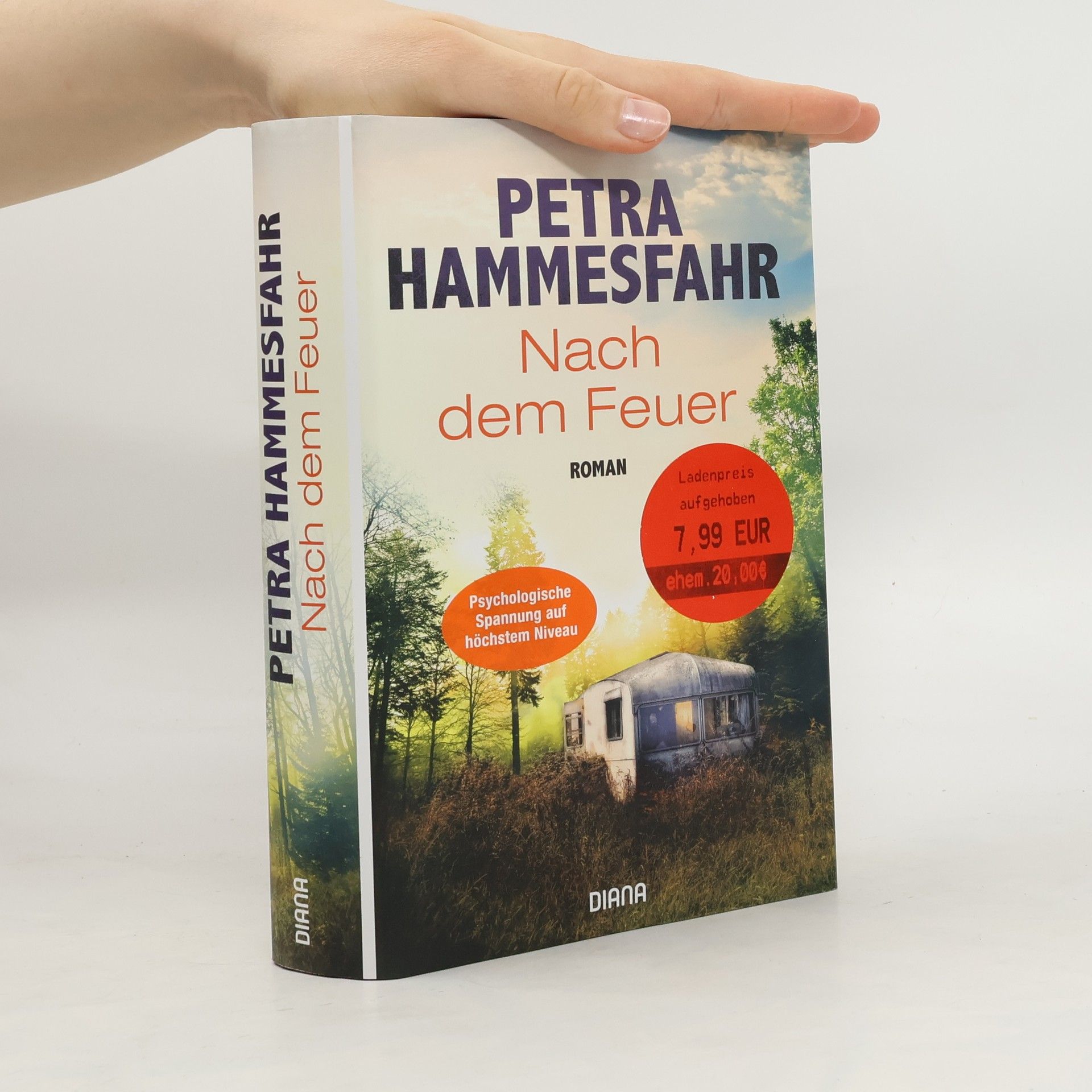 Petra Hammesfahr Nach dem Feuer
