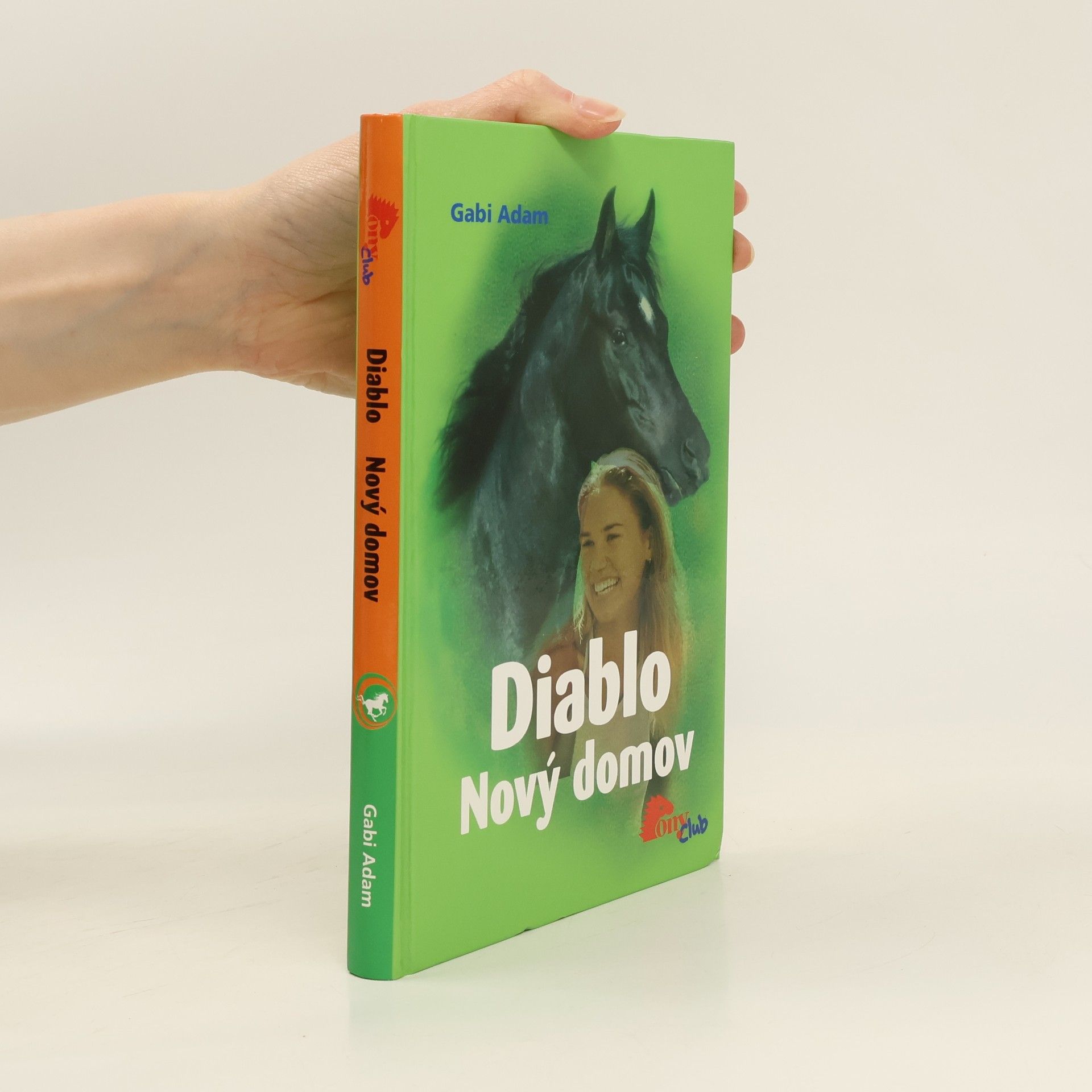 Gabi Adam Nový domov. Diablo 3