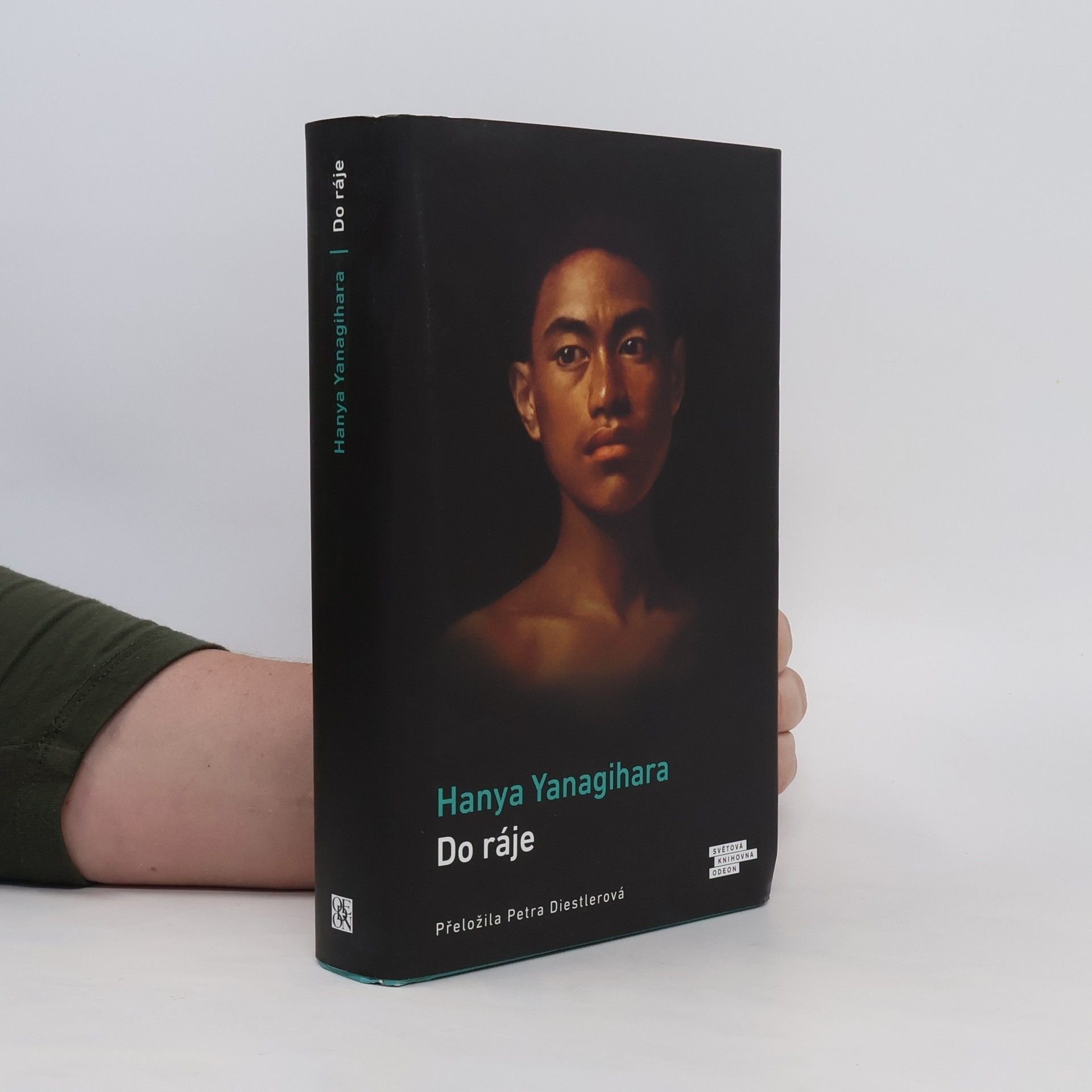 Hanya Yanagihara Do ráje