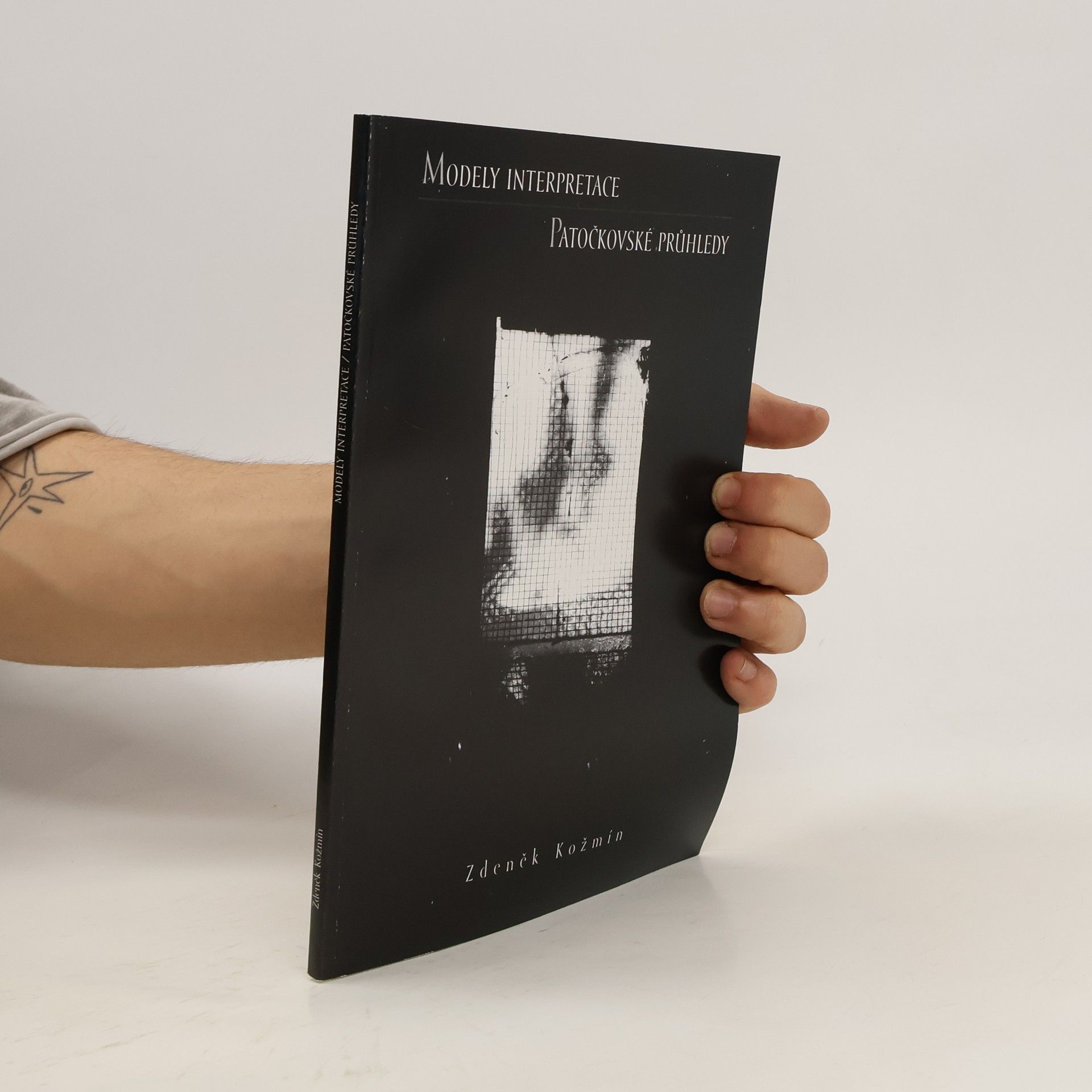 Zdeněk Kožmín Modely interpretace: Patočkovské průhledy