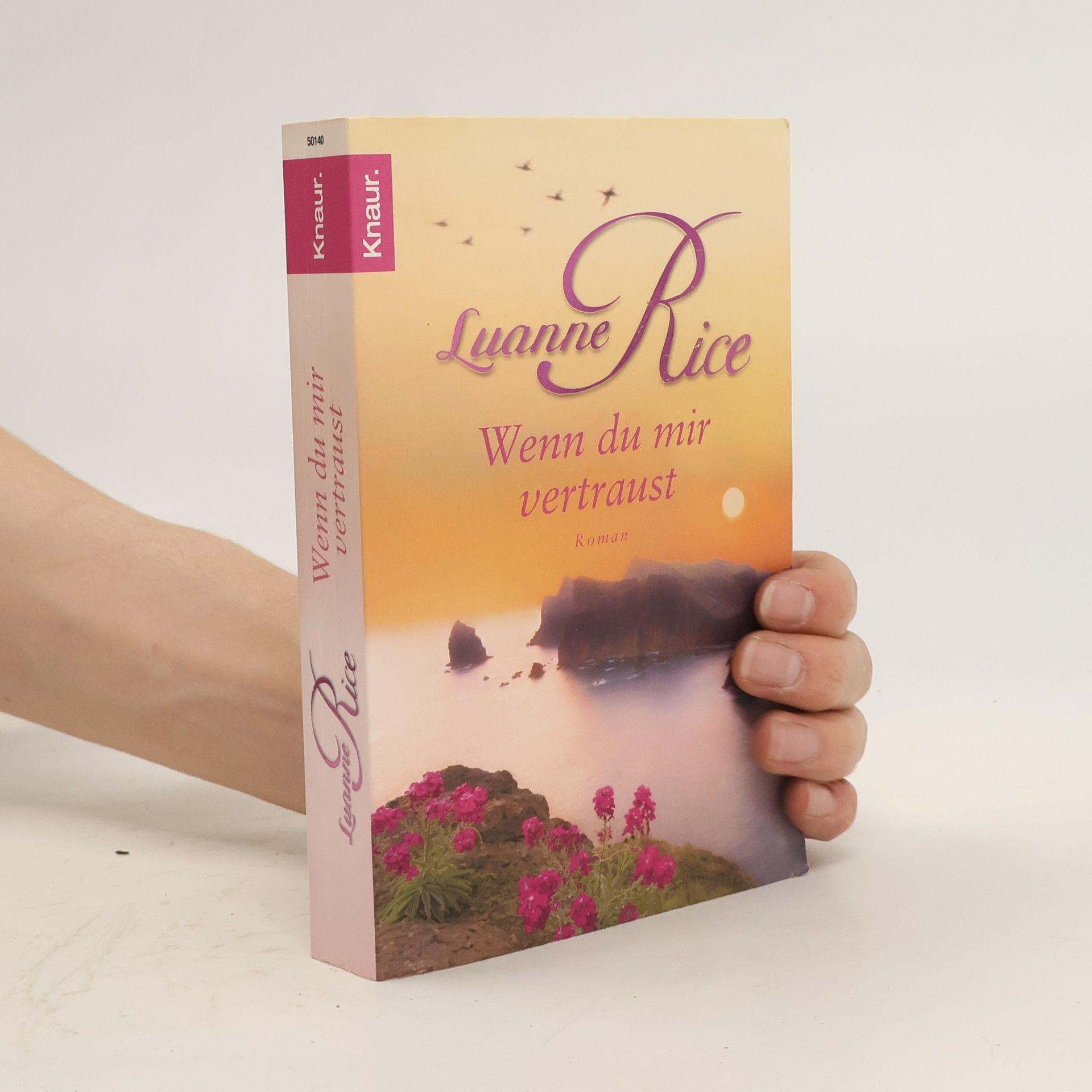 Luanne Rice Wenn du mir vertraust
