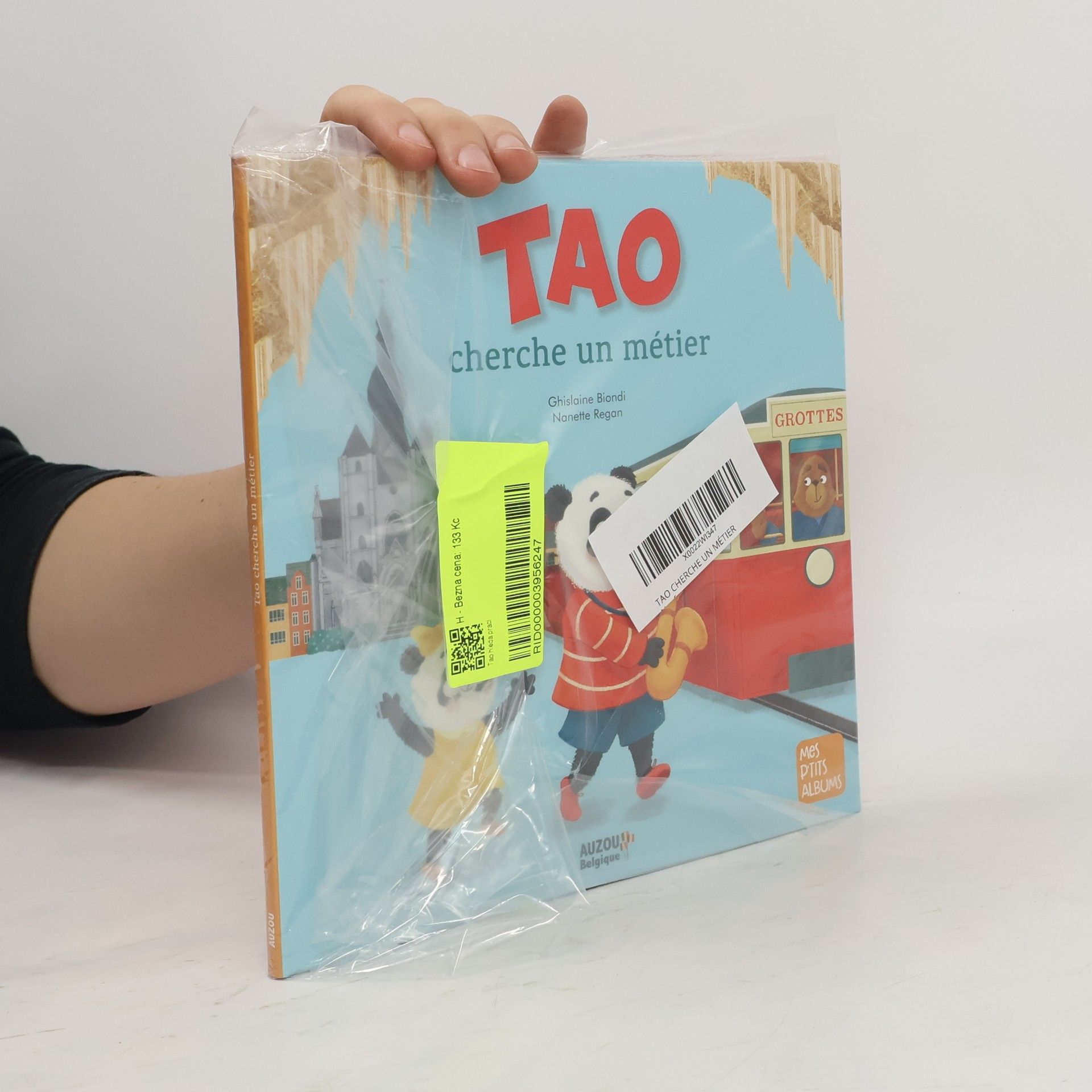 Tao cherche un métier