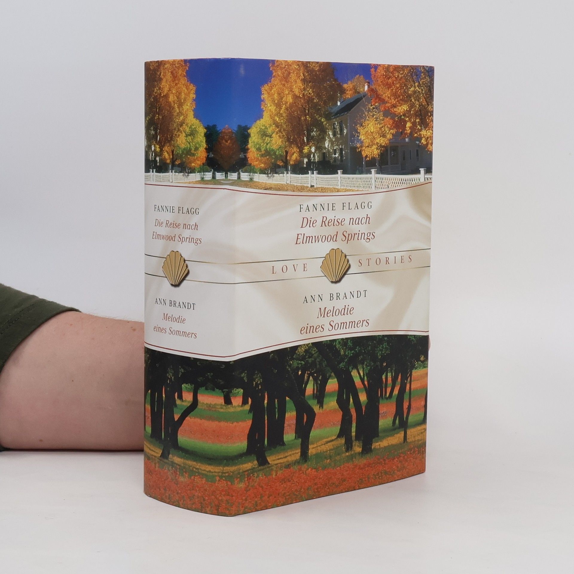 Fannie Flagg Die Reise nach Elmwood Springs. Melodie eines Sommers