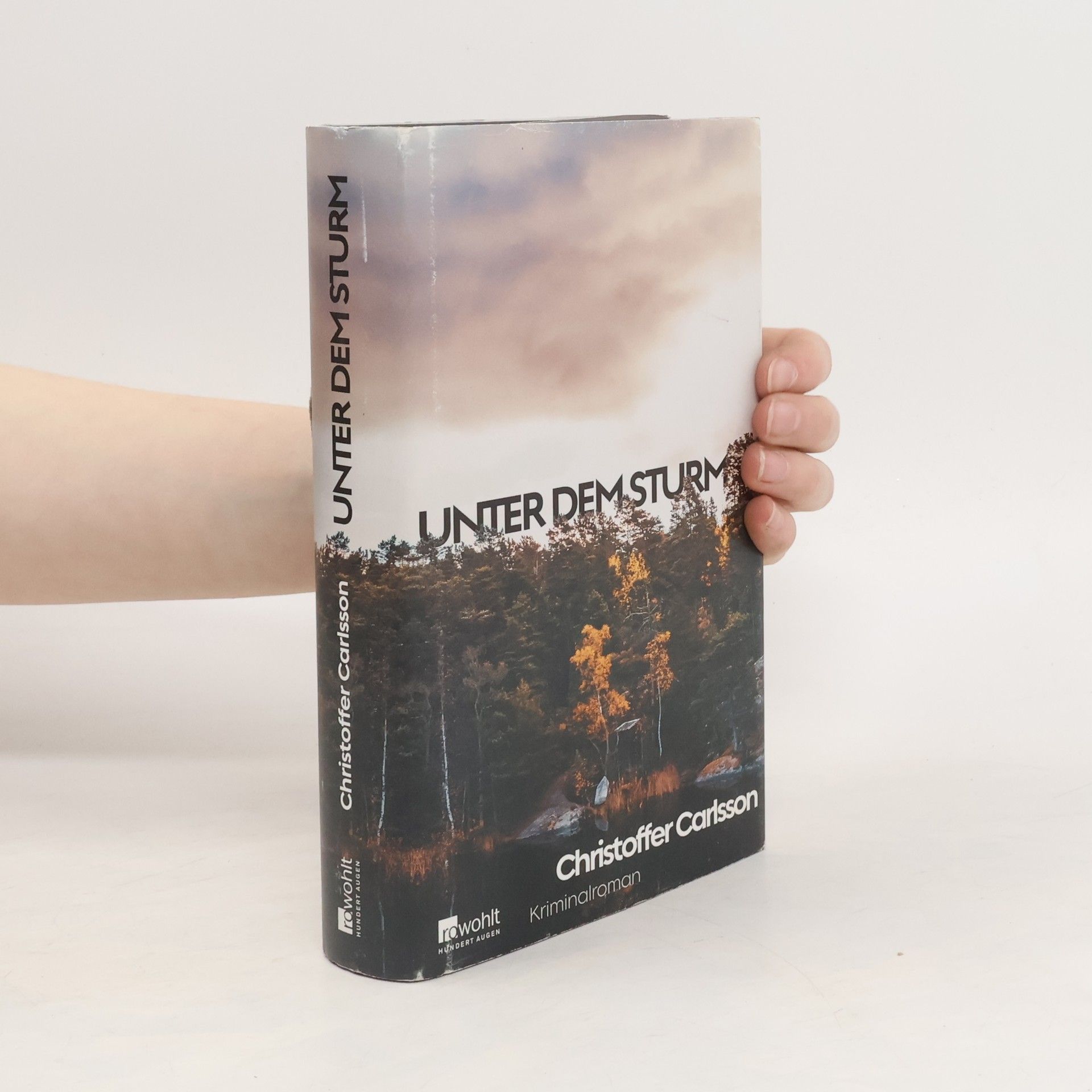 Christoffer Carlsson Unter dem Sturm