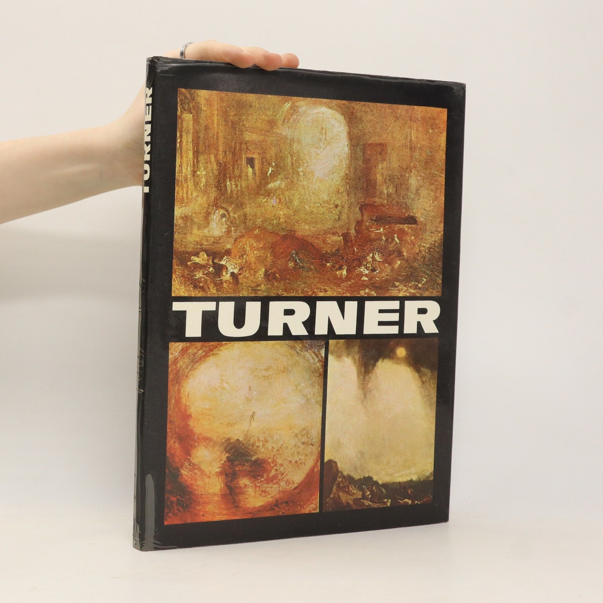 Vasile Nicolescu Turner