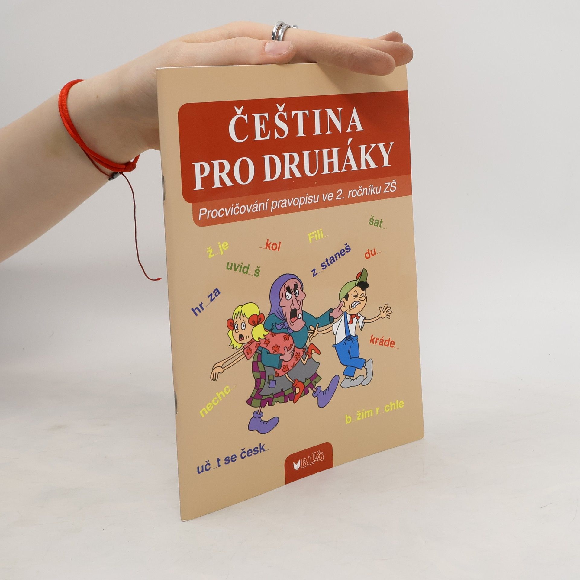 Collective Čeština pro druháky