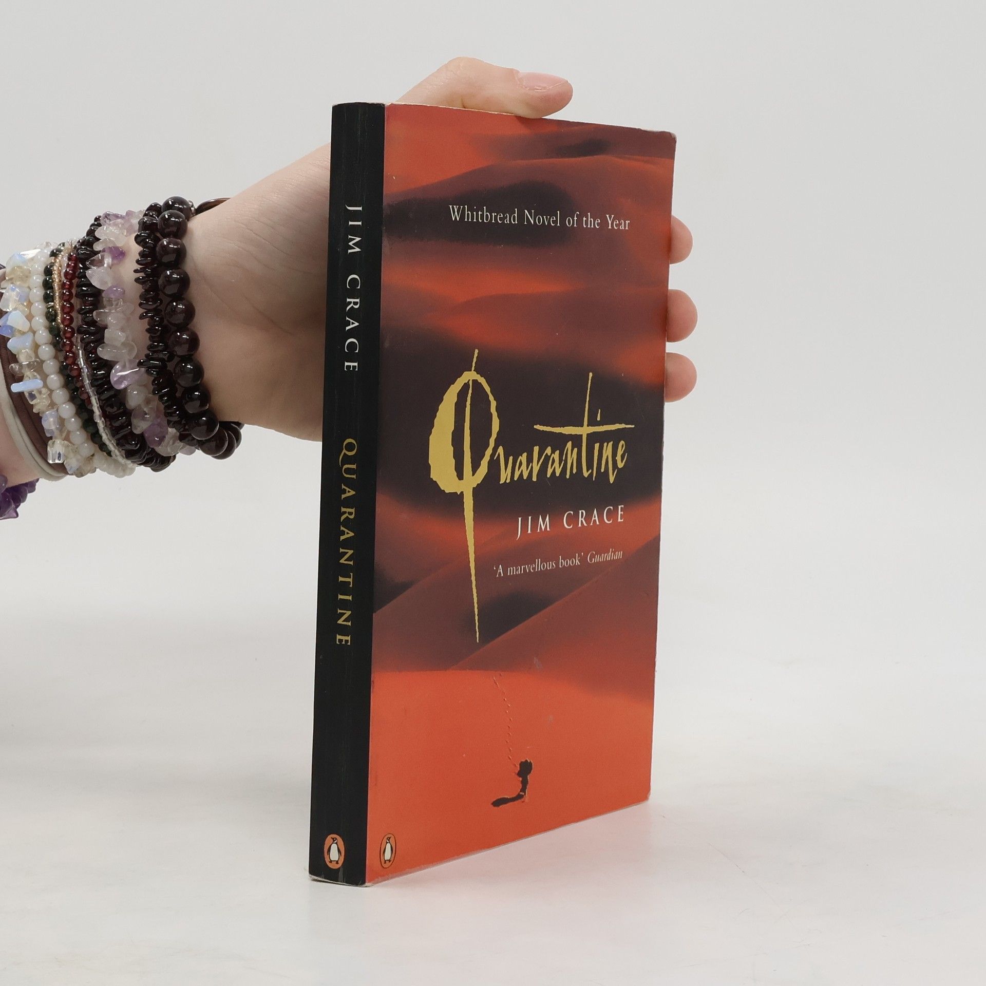 Jim Crace Quarantine