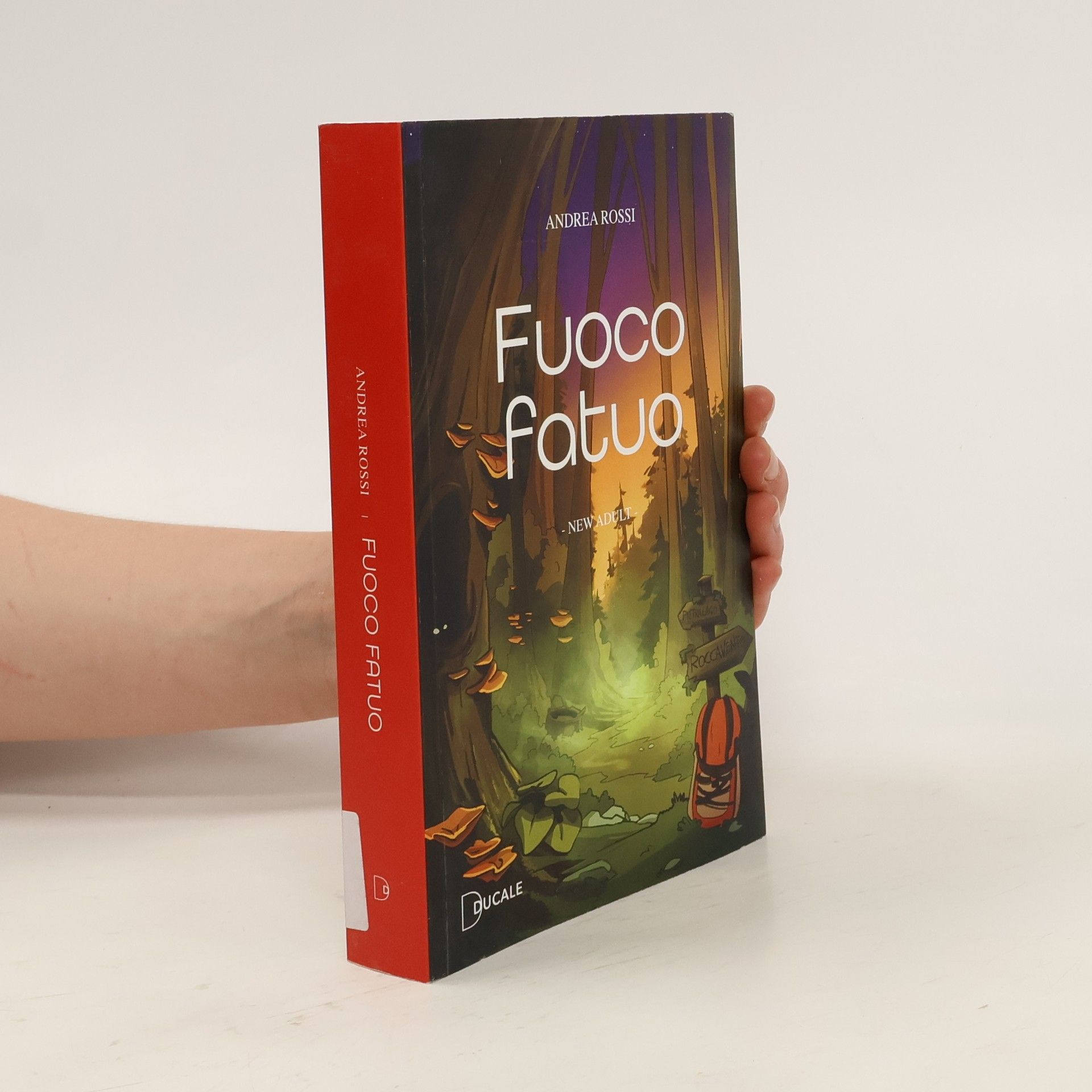 Andrea Rossi Fuoco fatuo